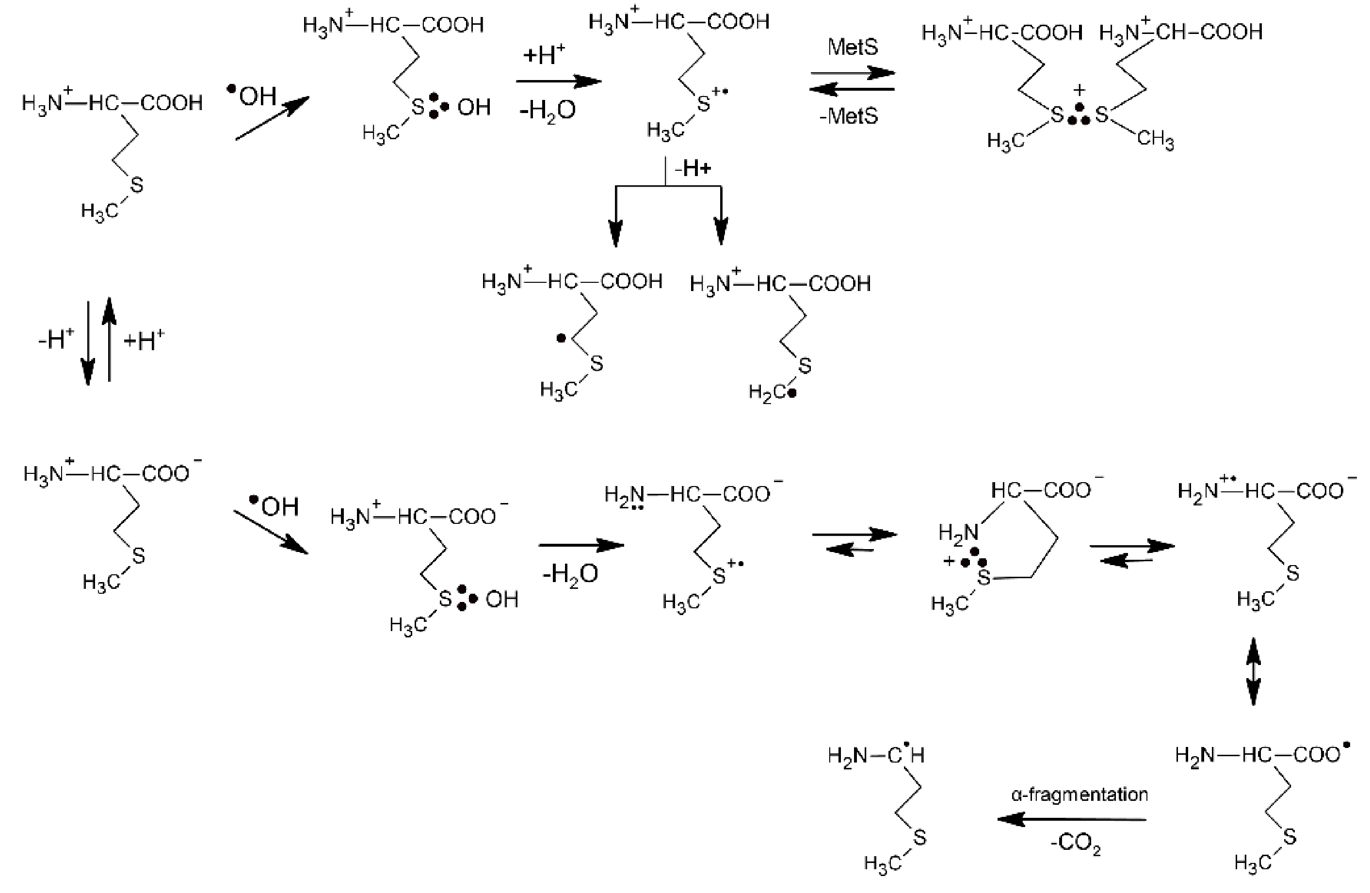 Molecules 27 01028 sch001
