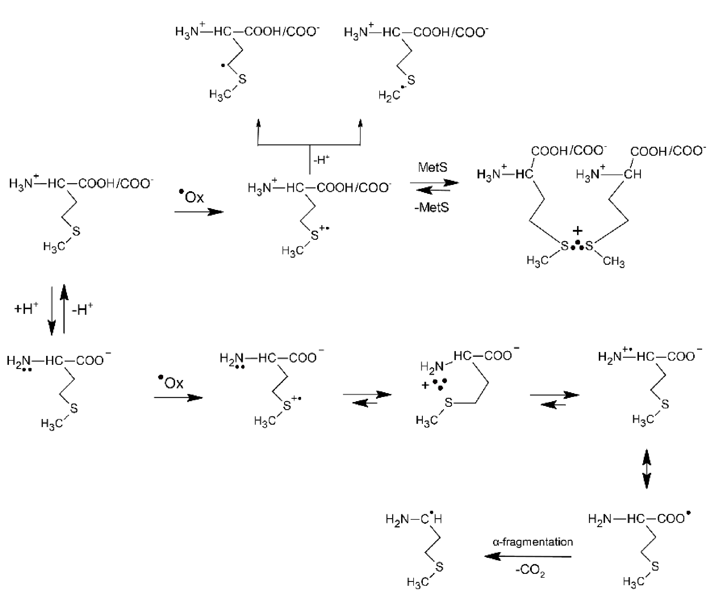 Molecules 27 01028 sch002