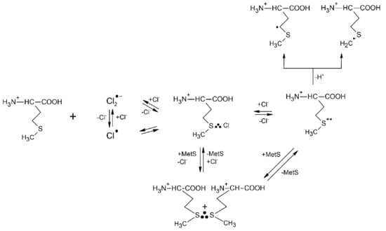 Molecules 27 01028 sch003 550