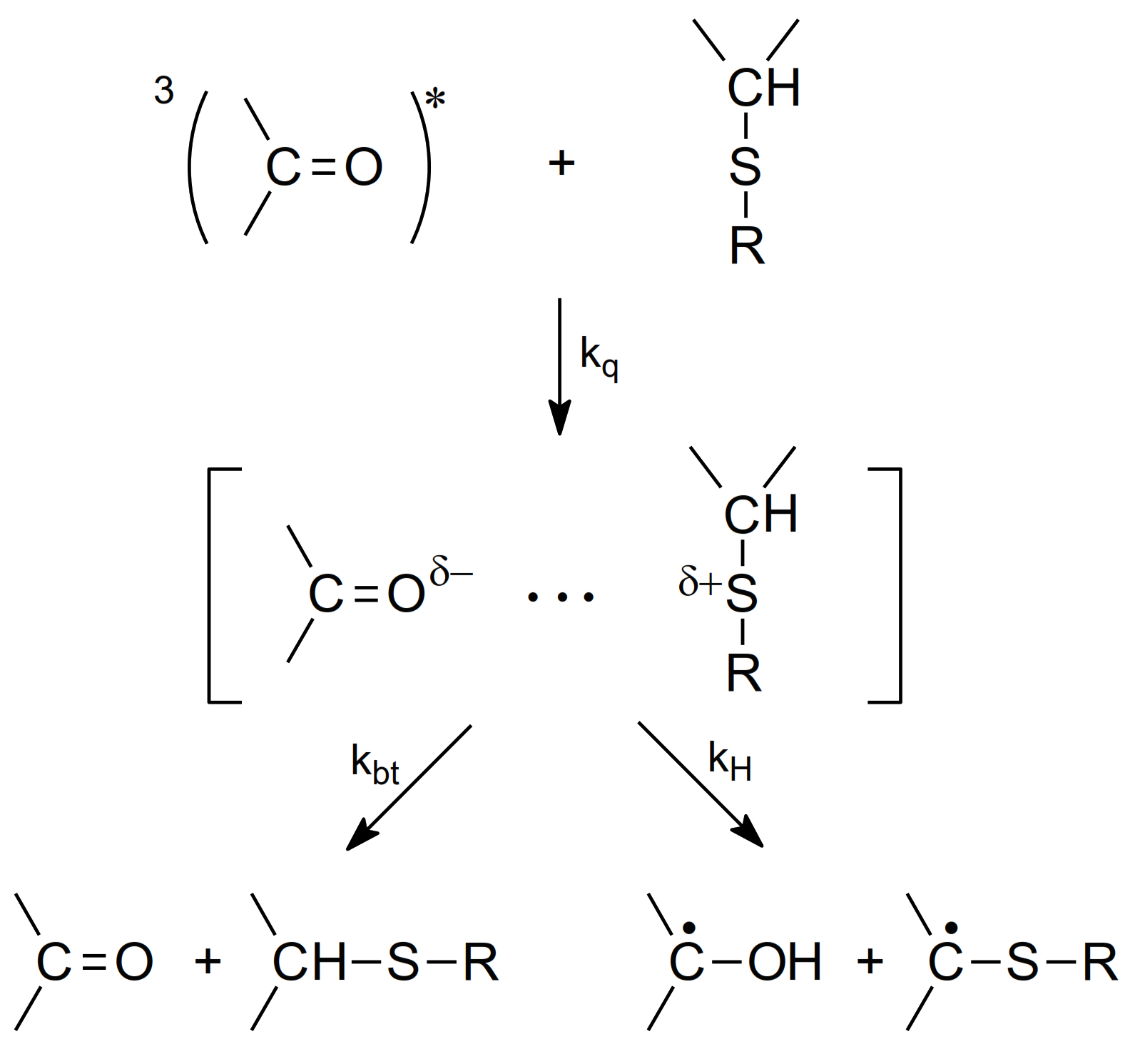 Molecules 27 01028 sch004