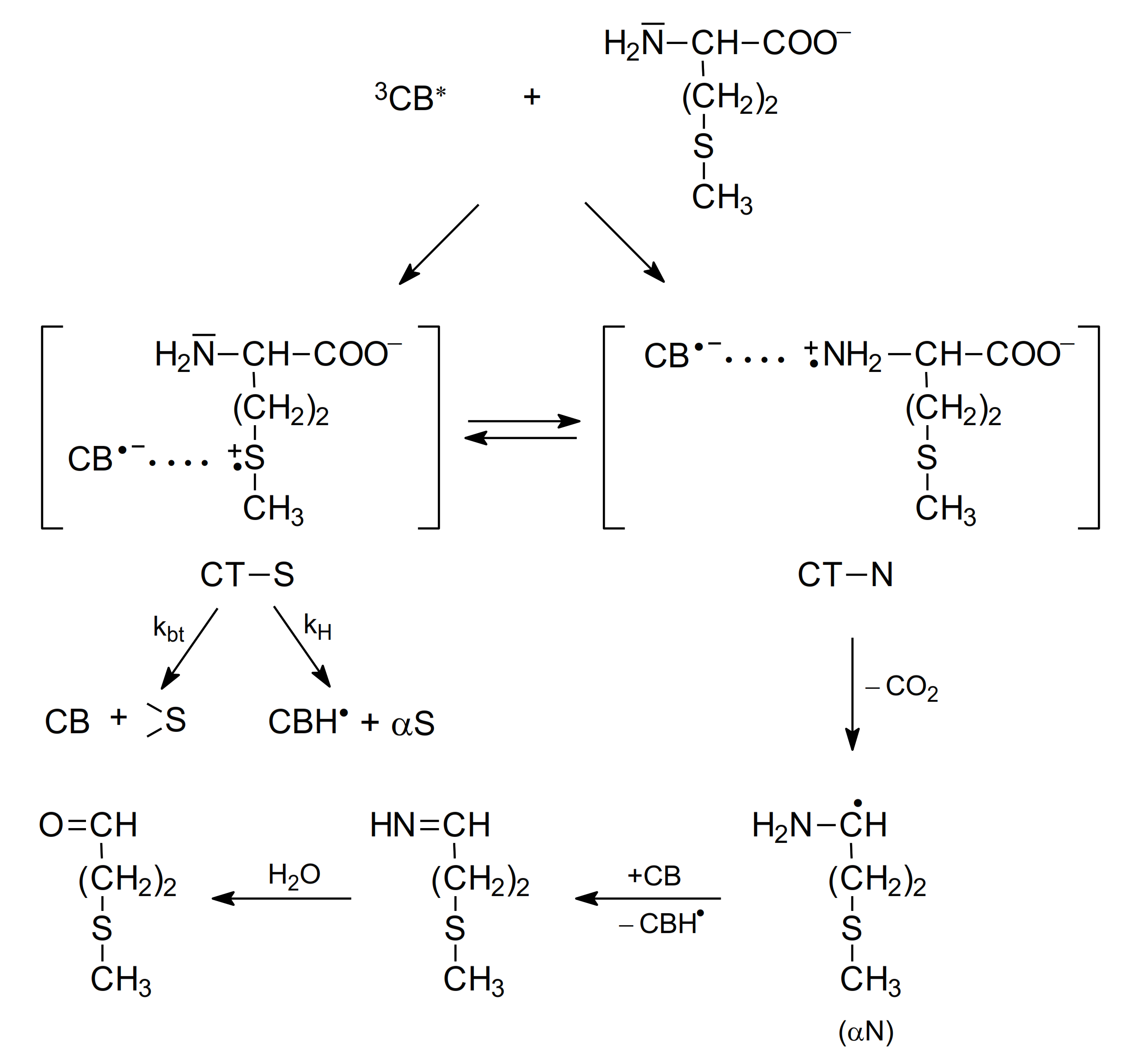 Molecules 27 01028 sch005