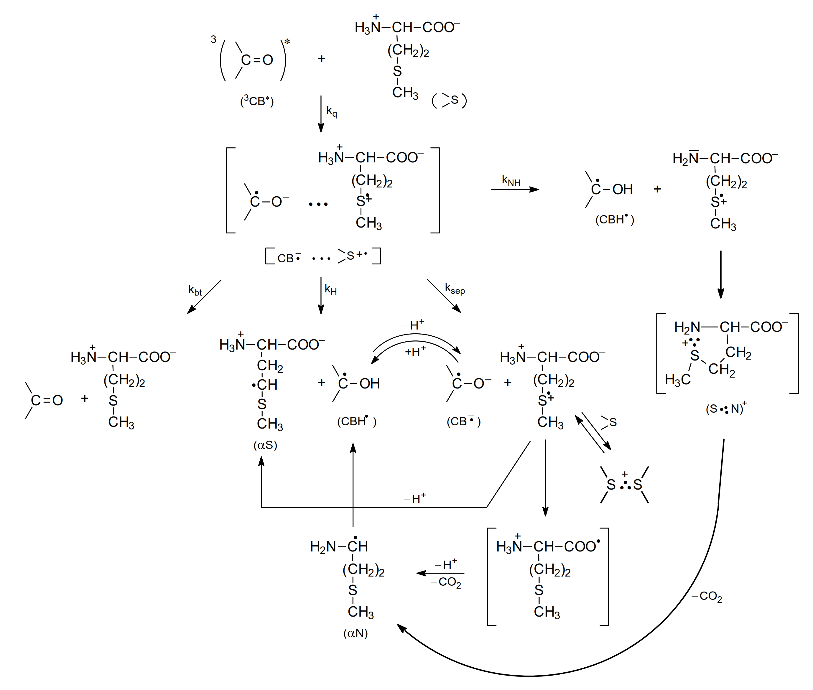 Molecules 27 01028 sch006