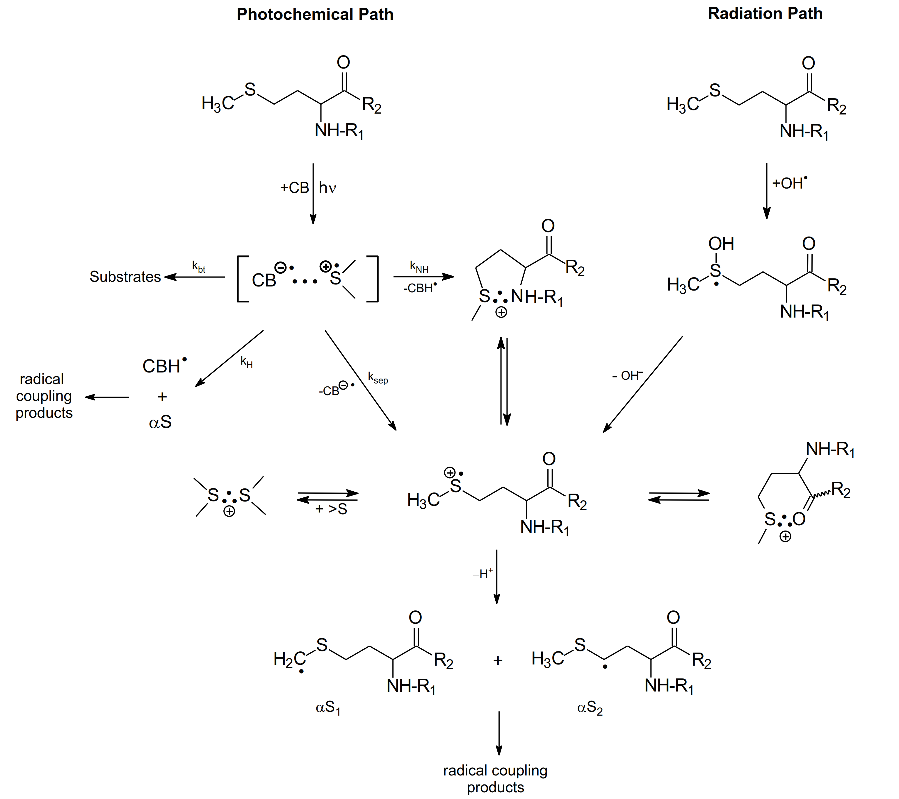 Molecules 27 01028 sch008