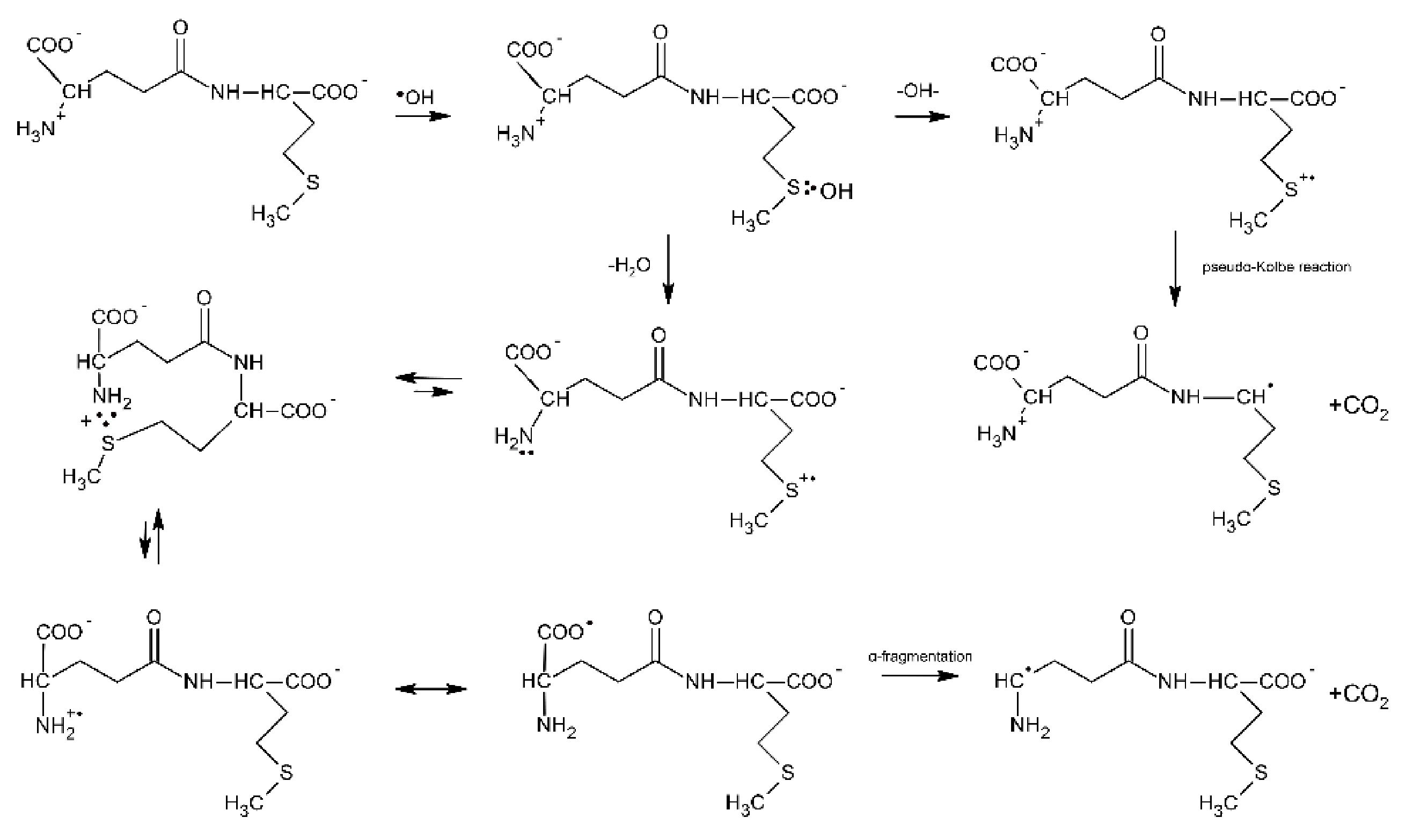 Molecules 27 01028 sch010