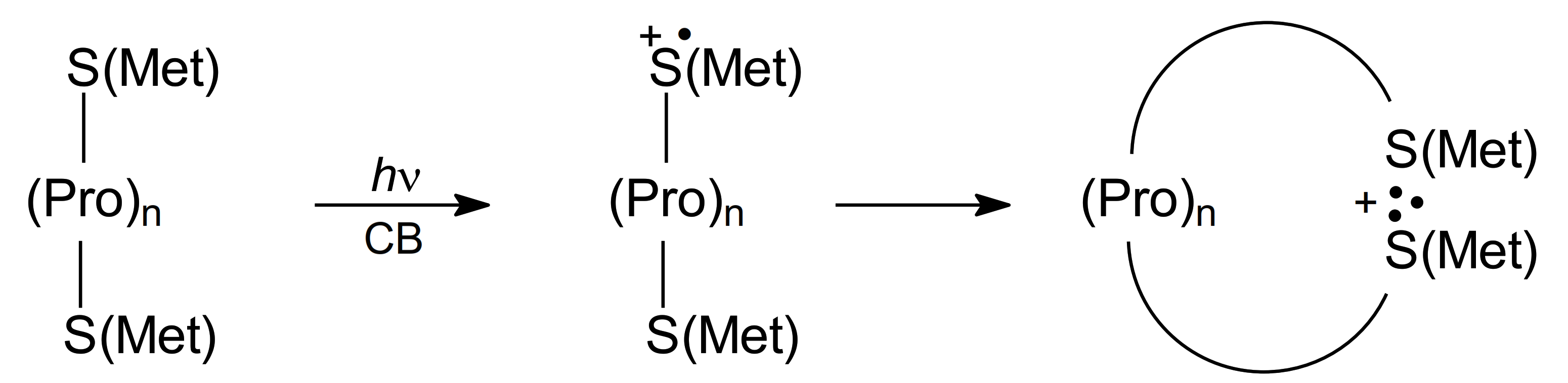 Molecules 27 01028 sch012