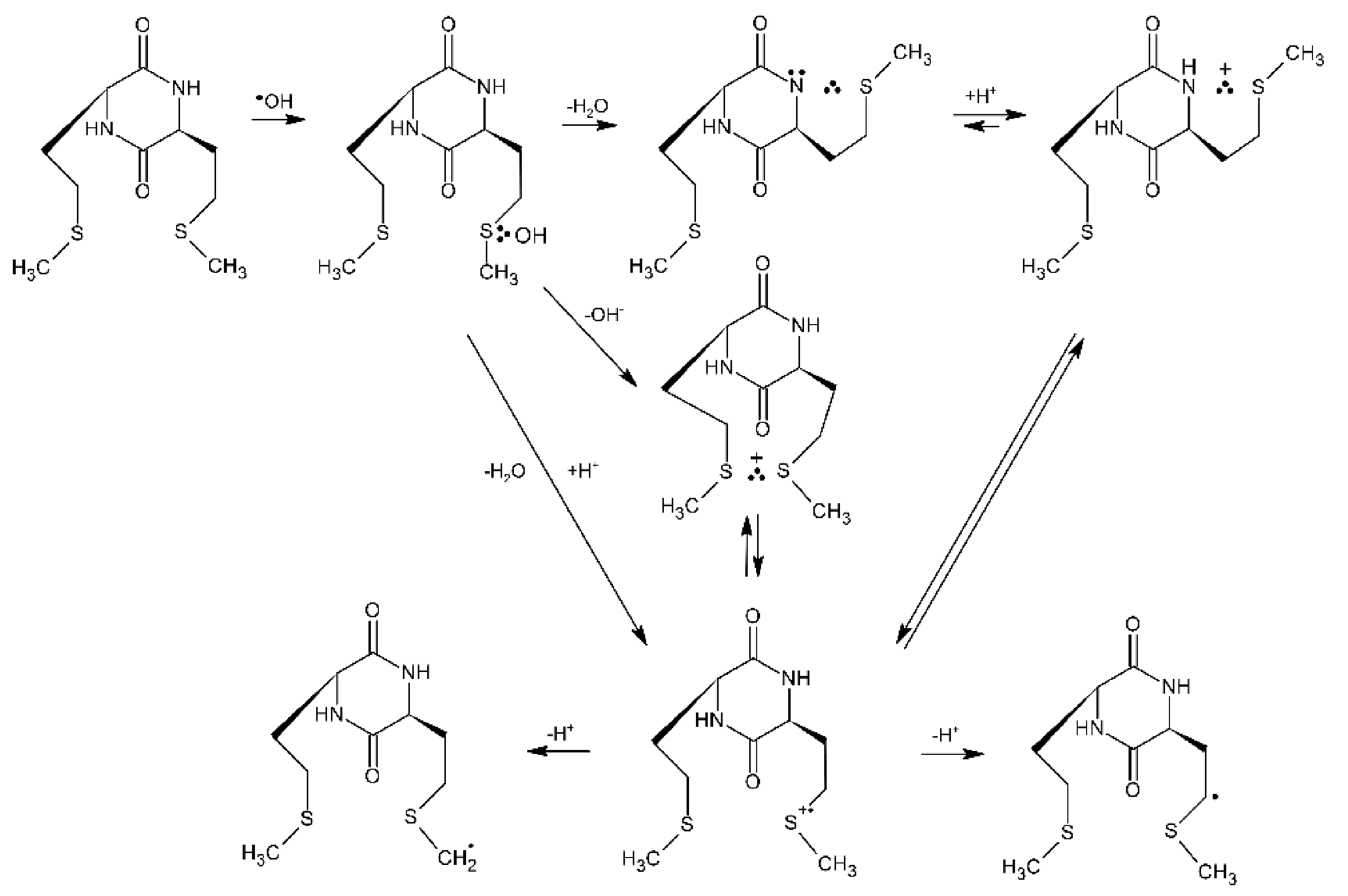 Molecules 27 01028 sch013