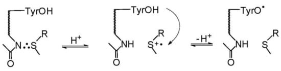 Molecules 27 01028 sch015 550