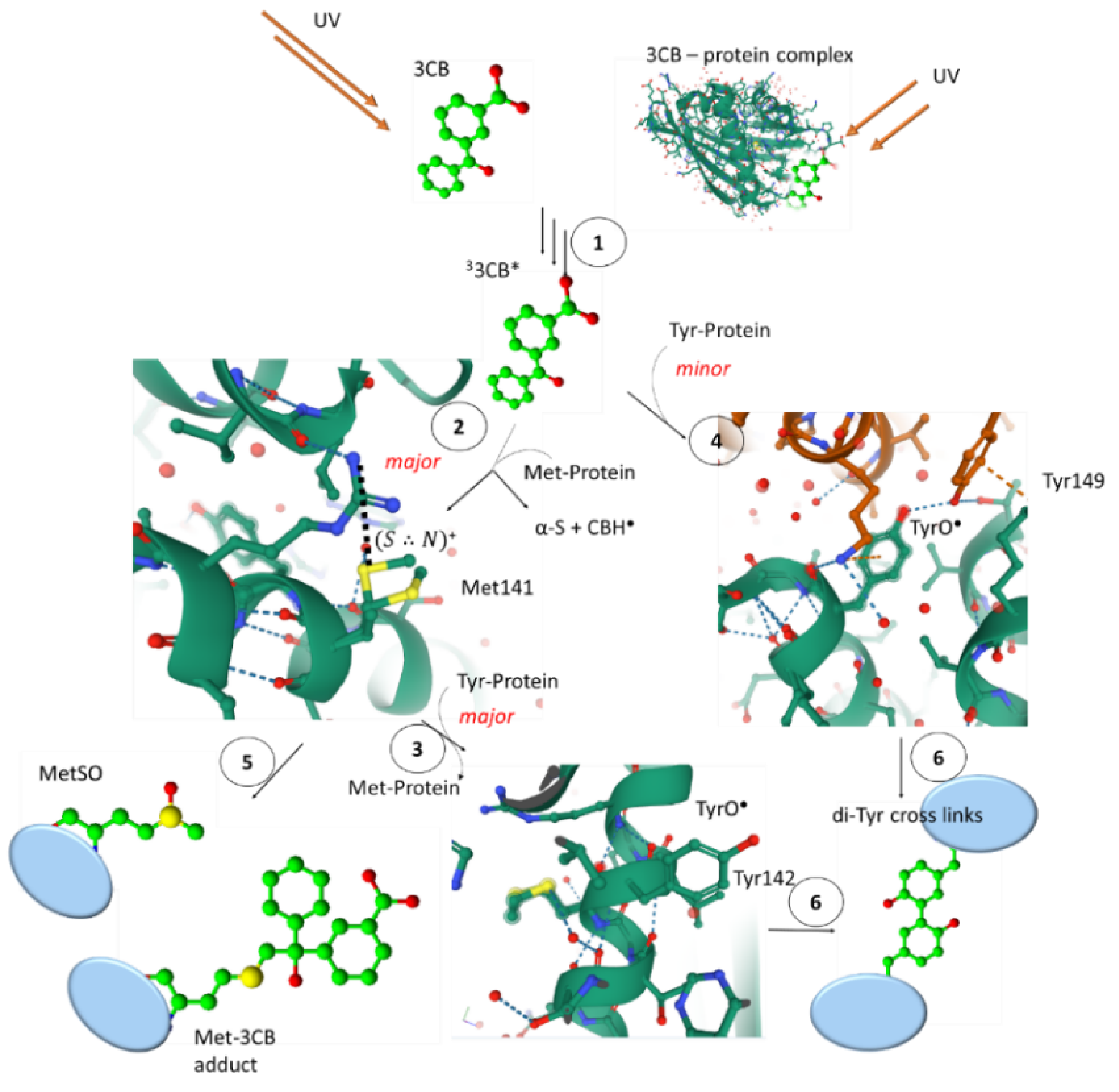 Molecules 27 01028 sch016