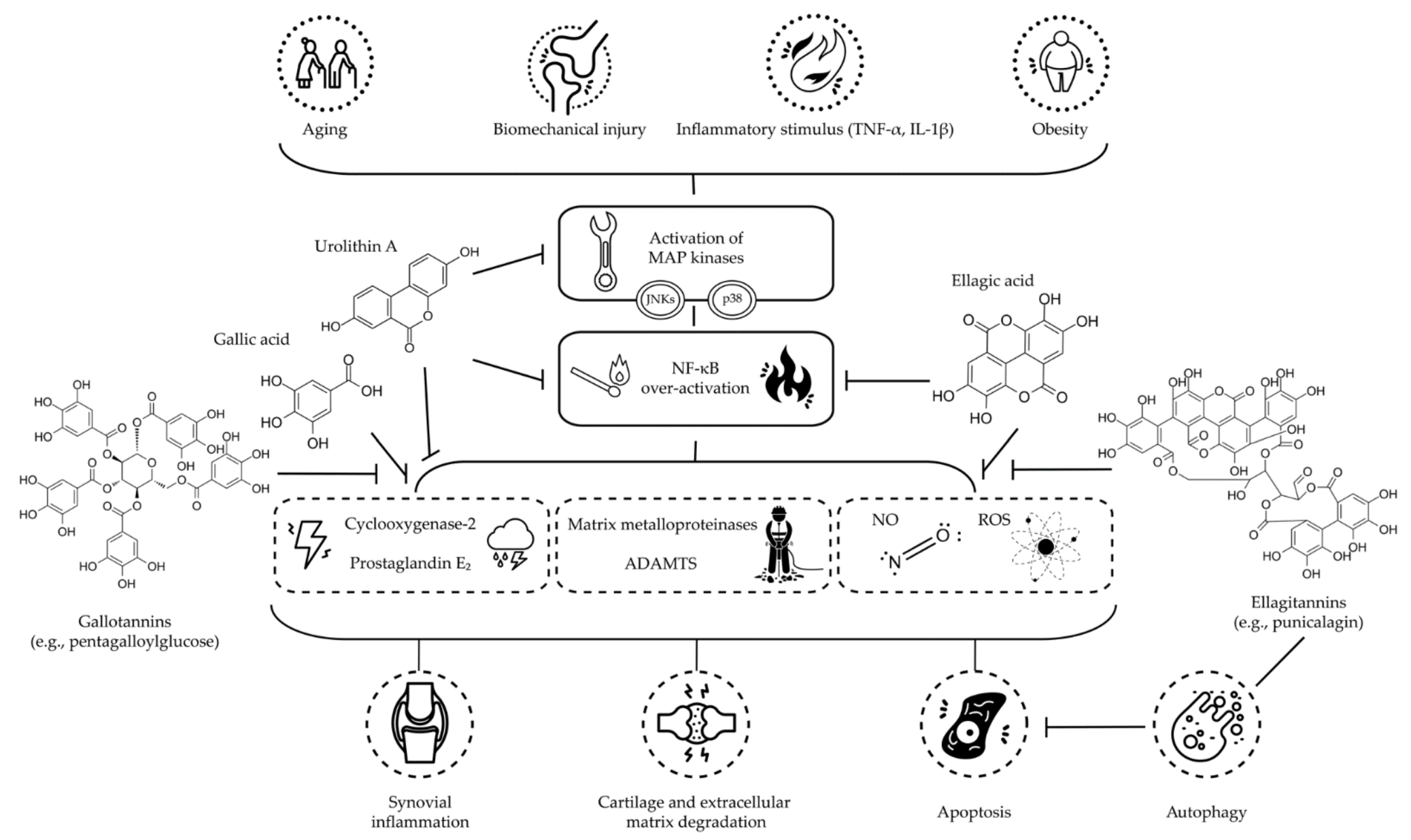 Molecules 27 01033 g001