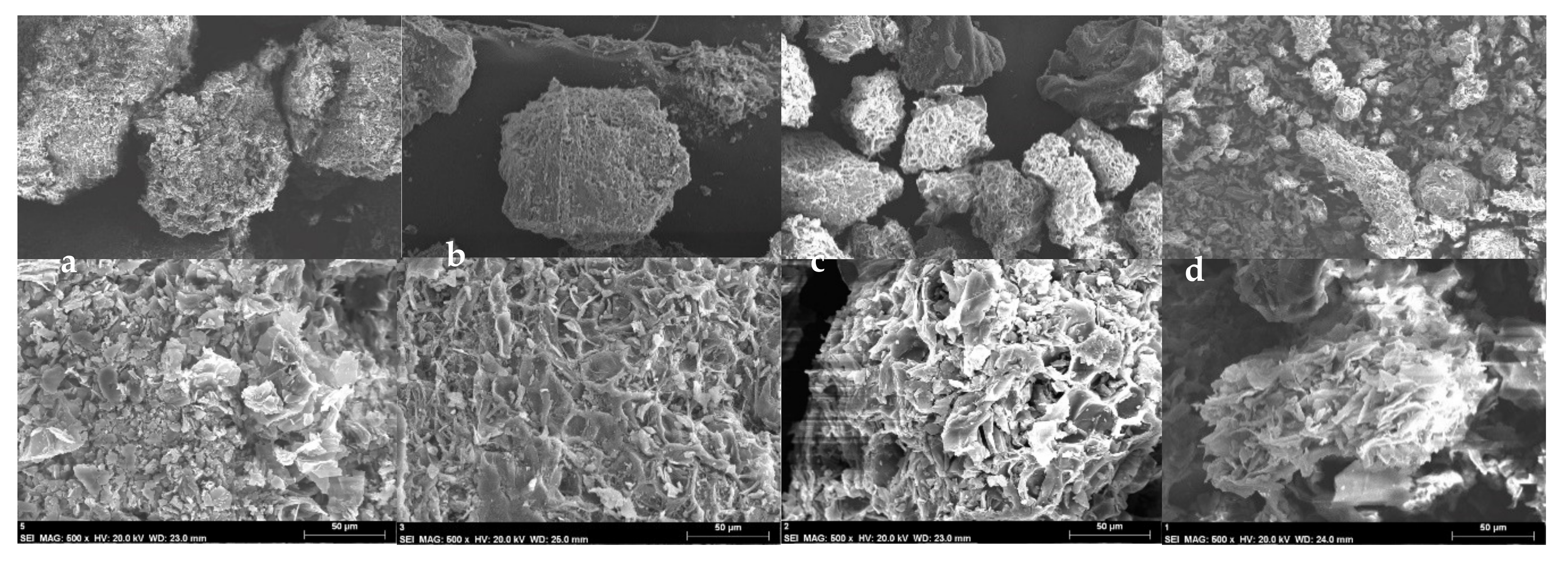 Molecules 27 01035 g003
