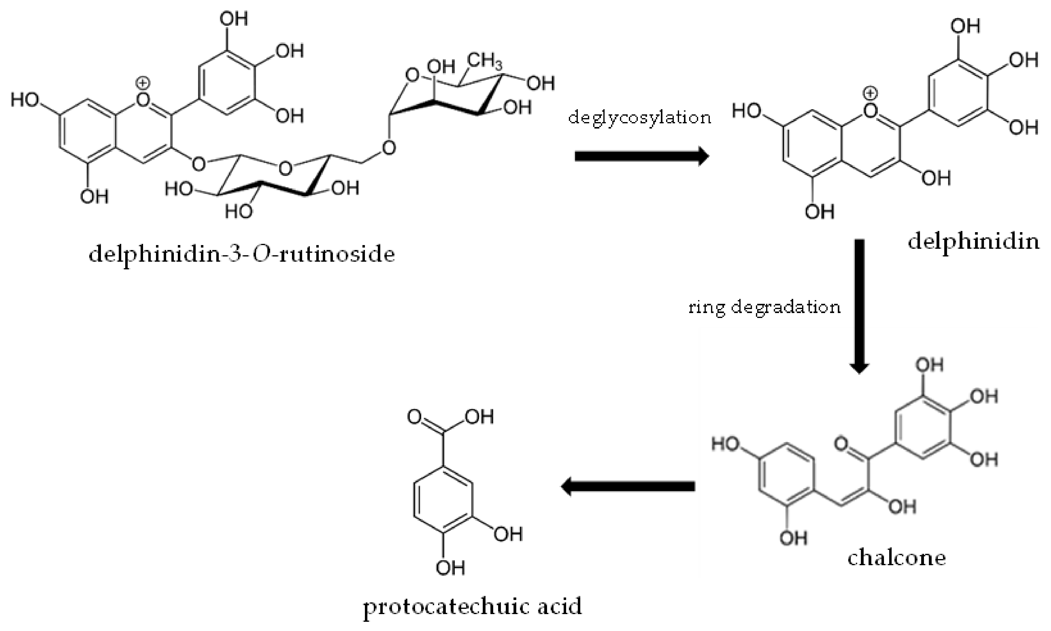 Molecules 27 01036 g007
