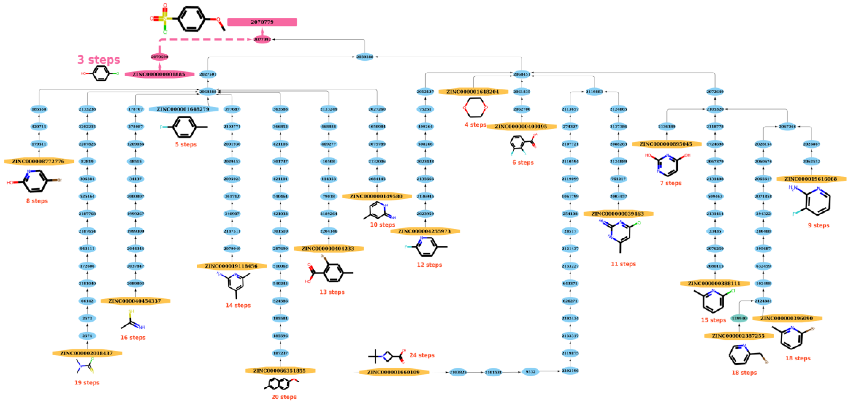 Molecules 27 01039 g007