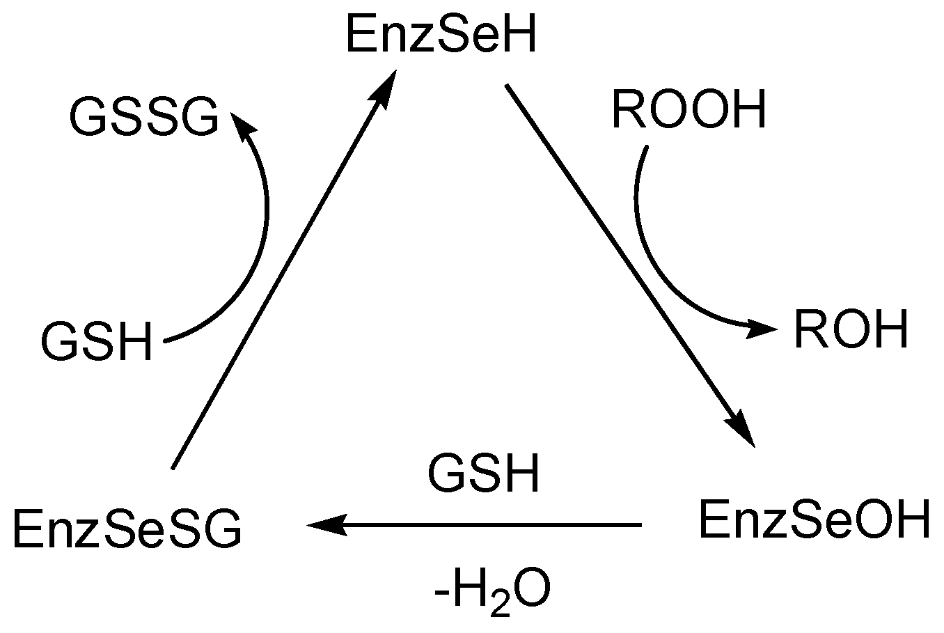 Molecules 27 01050 sch003