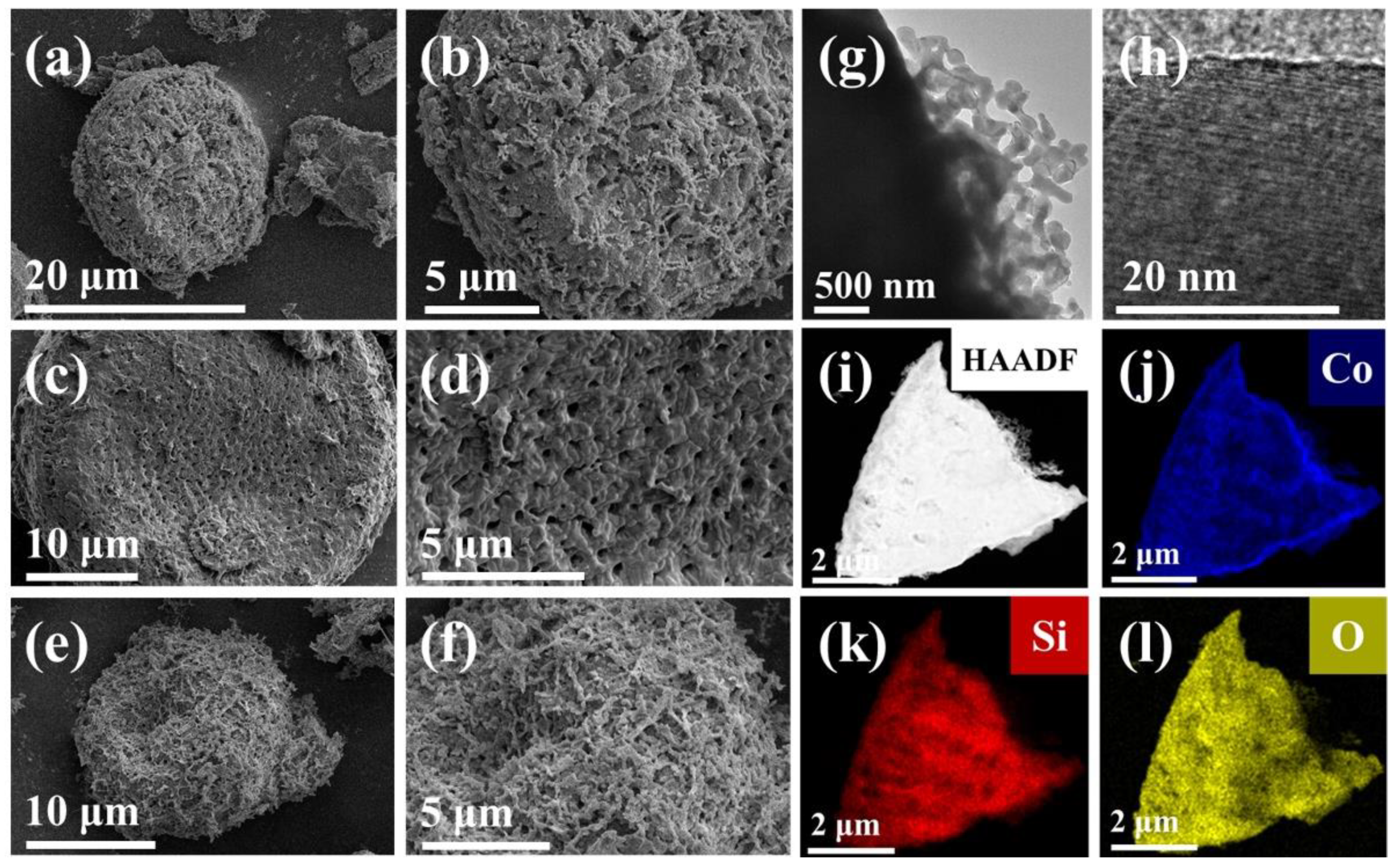 Molecules 27 01055 g003
