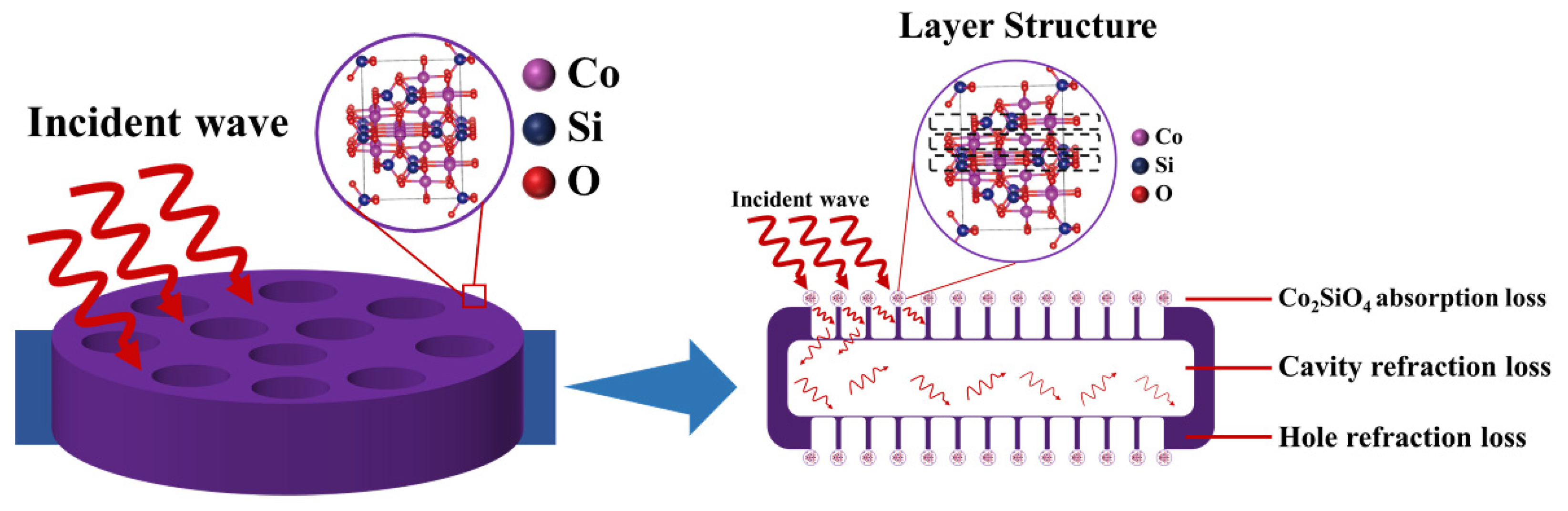 Molecules 27 01055 g006
