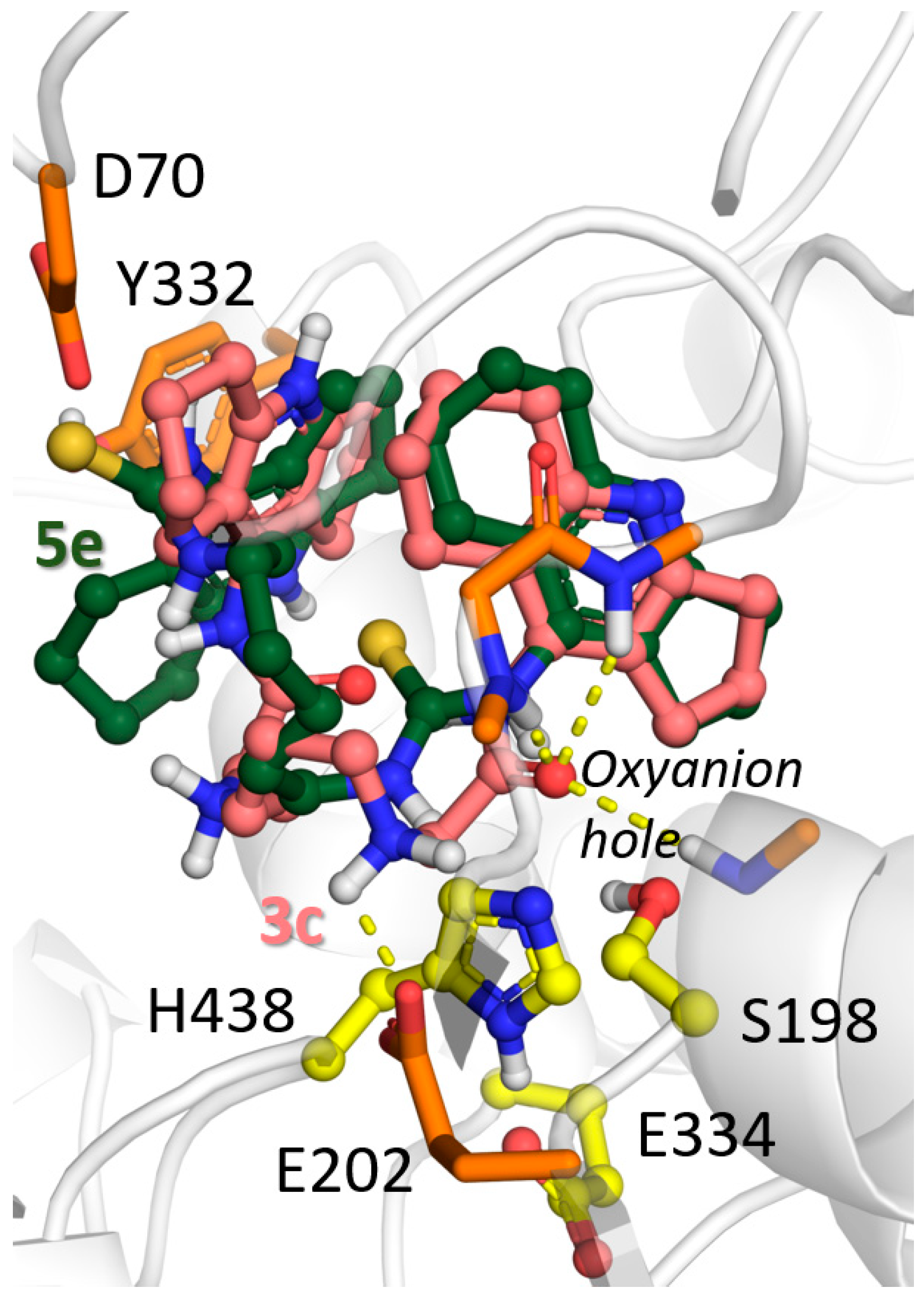 Molecules 27 01060 g004