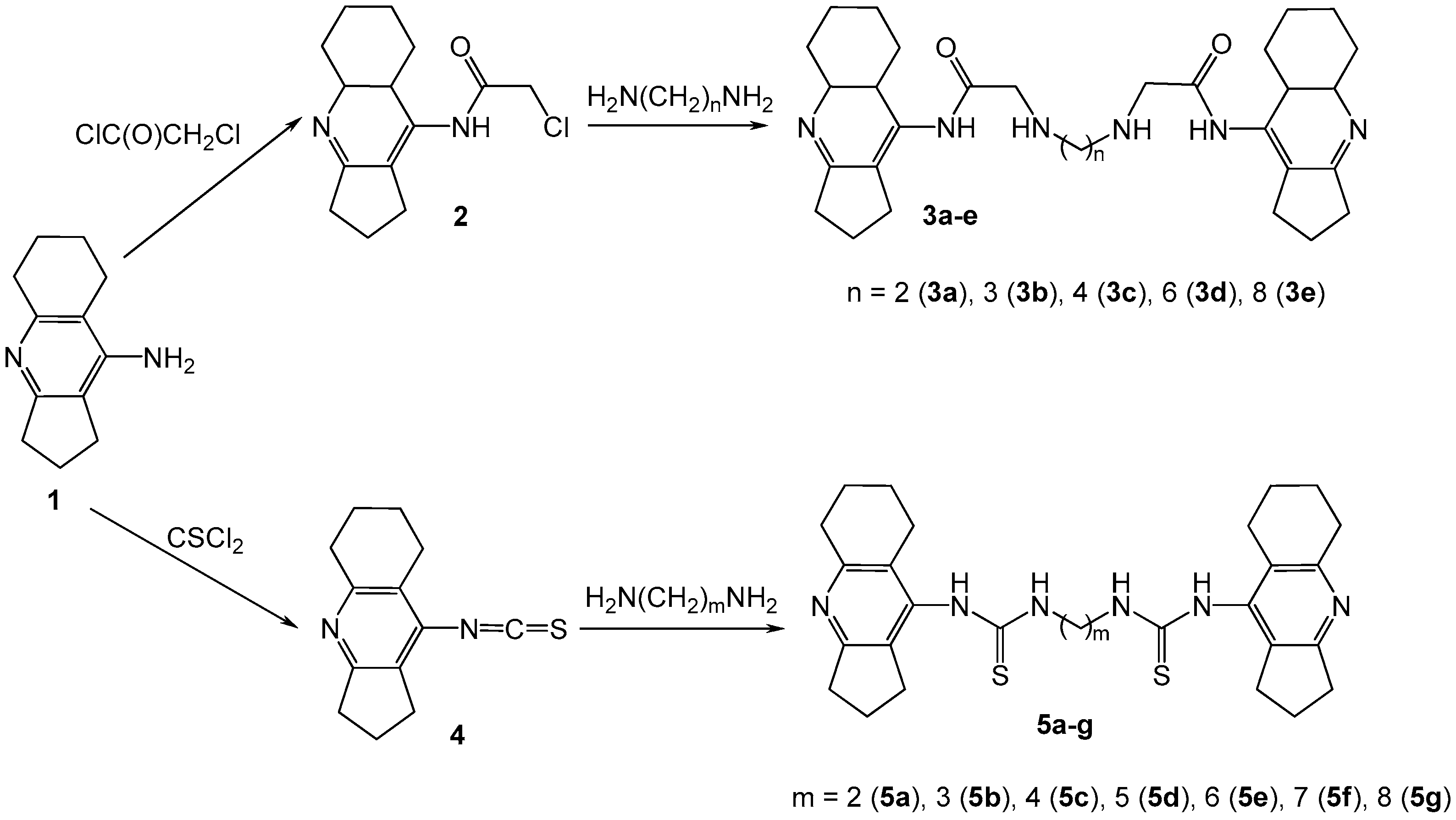 Molecules 27 01060 sch001