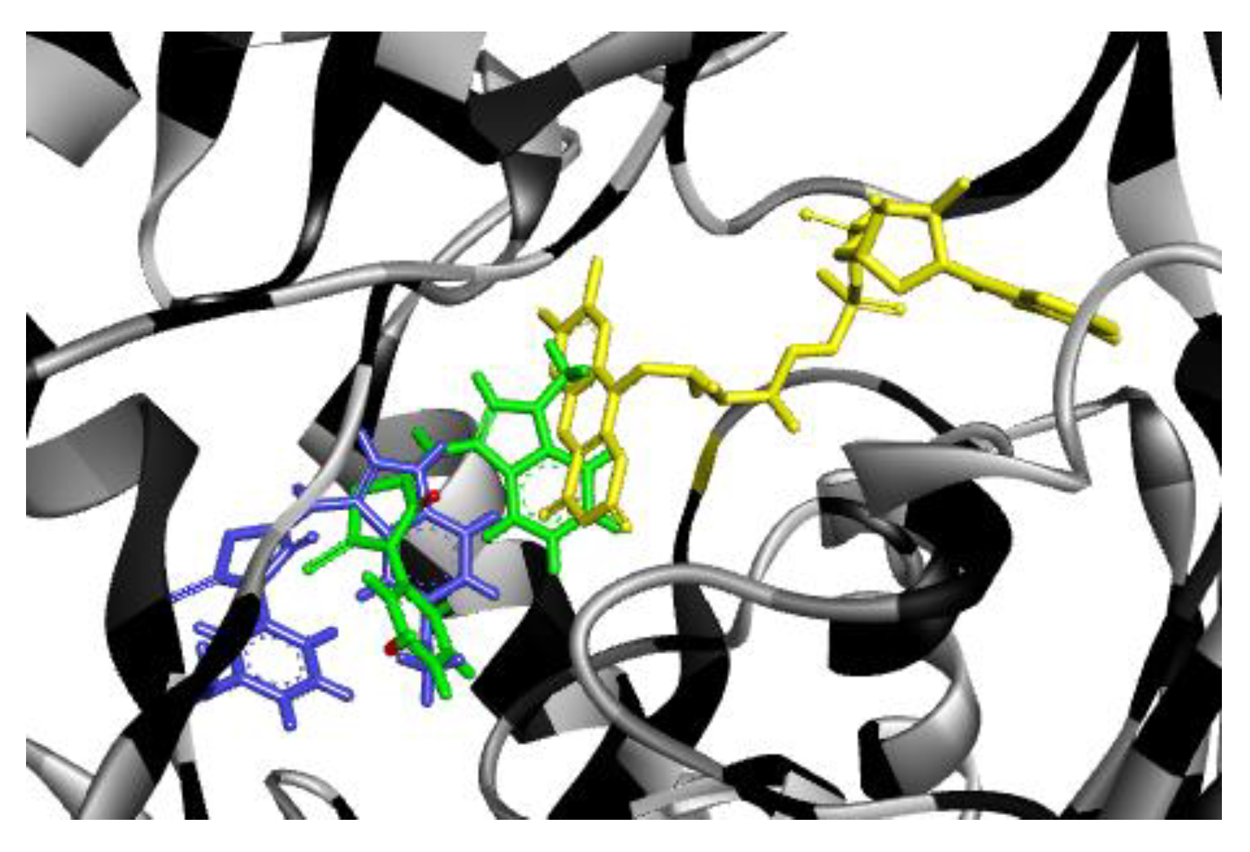 Molecules 27 01068 g009