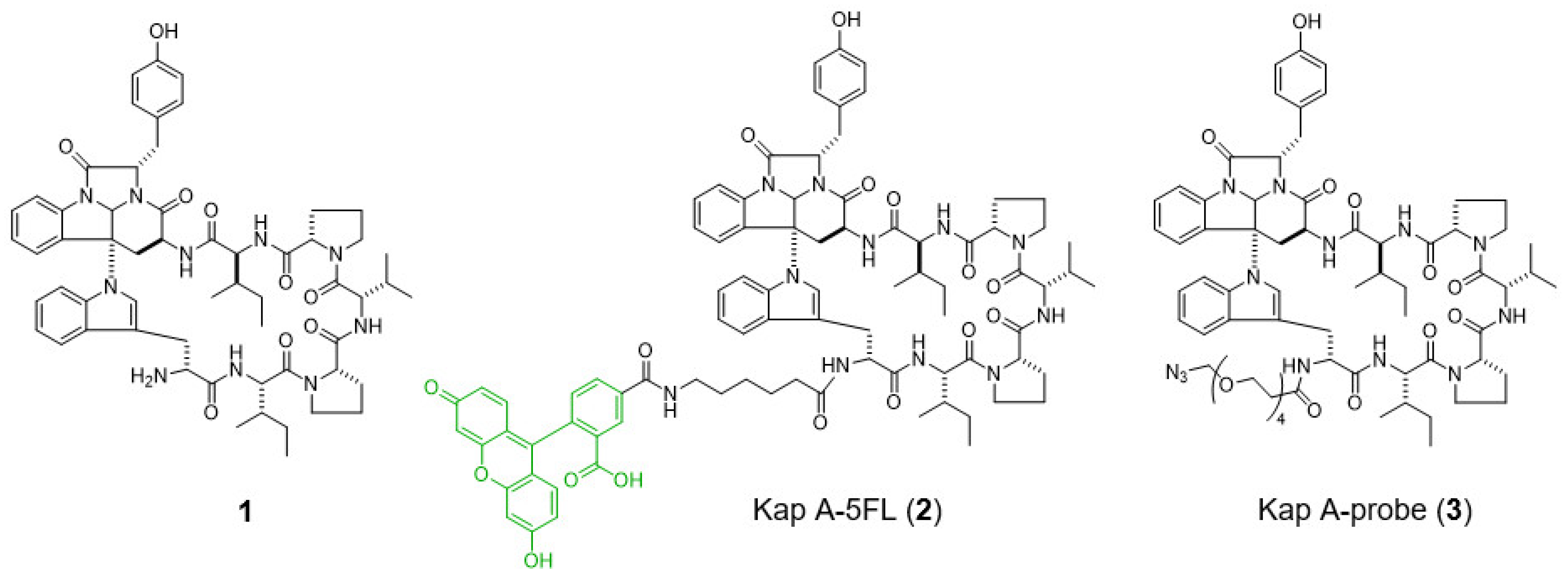 Molecules 27 01072 g001
