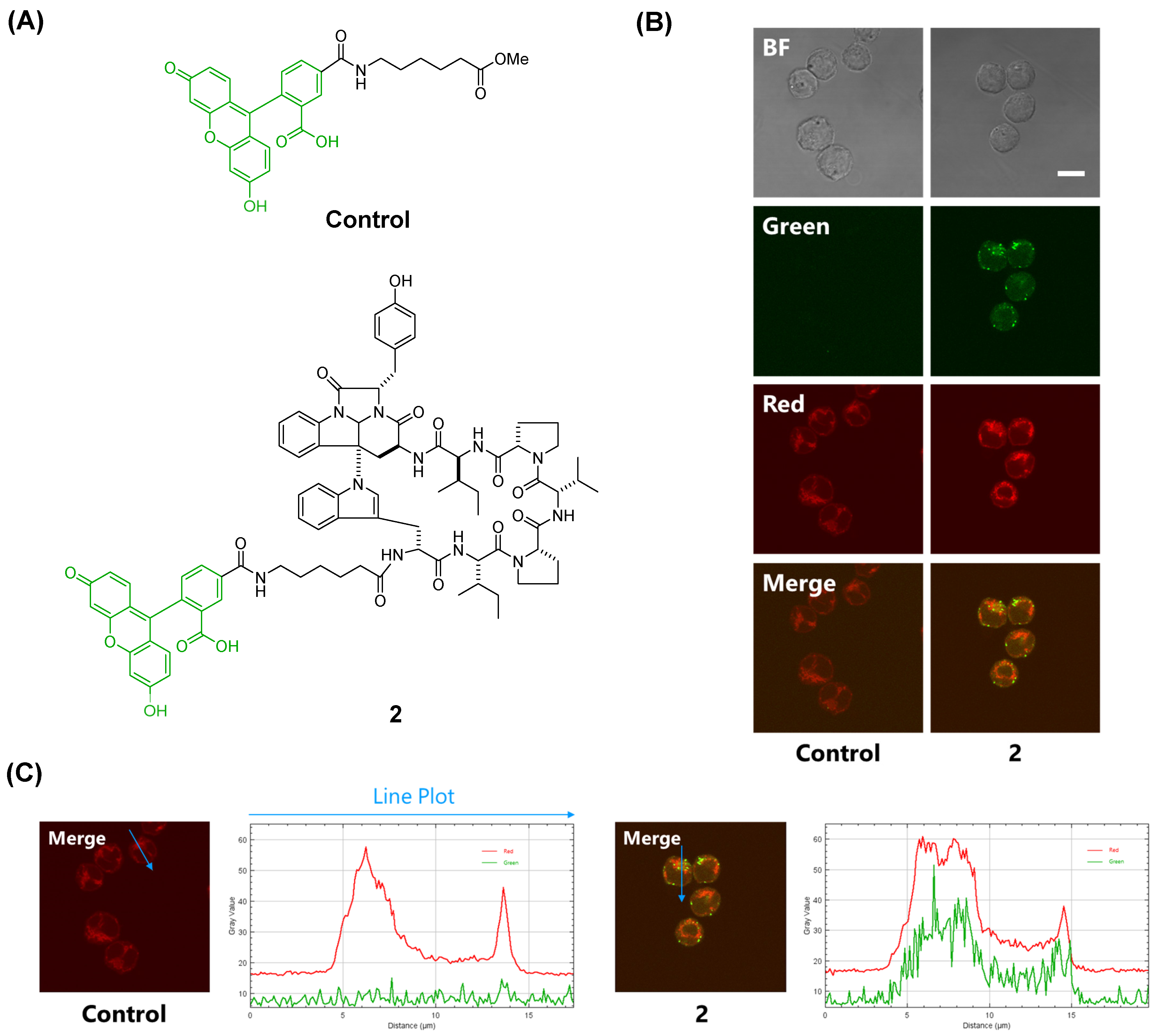 Molecules 27 01072 g002