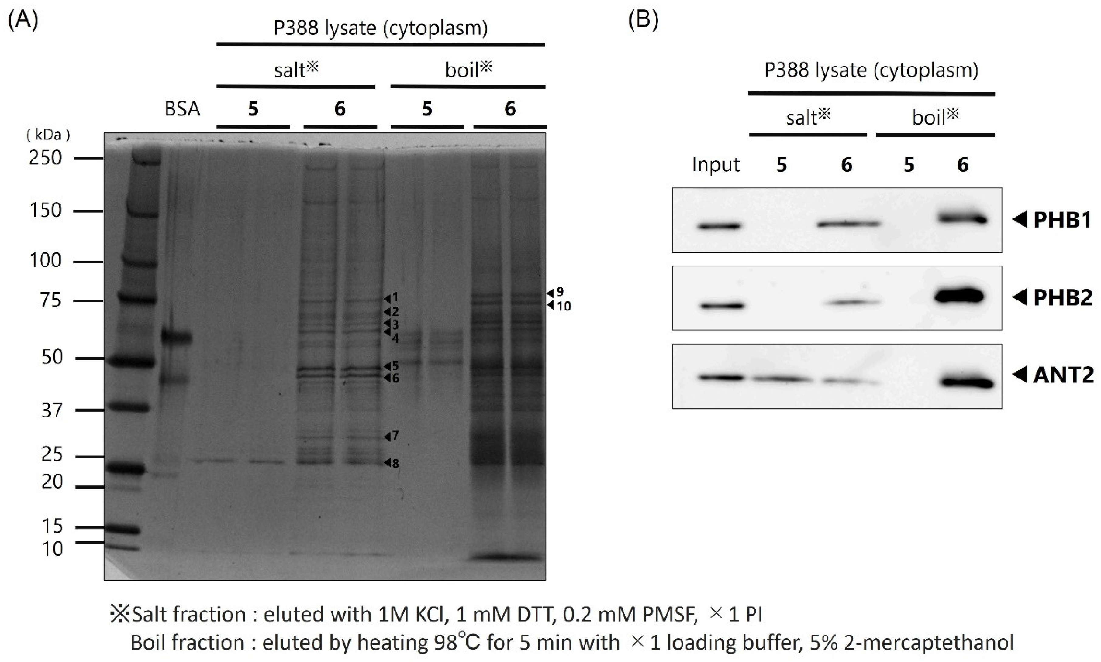 Molecules 27 01072 g003
