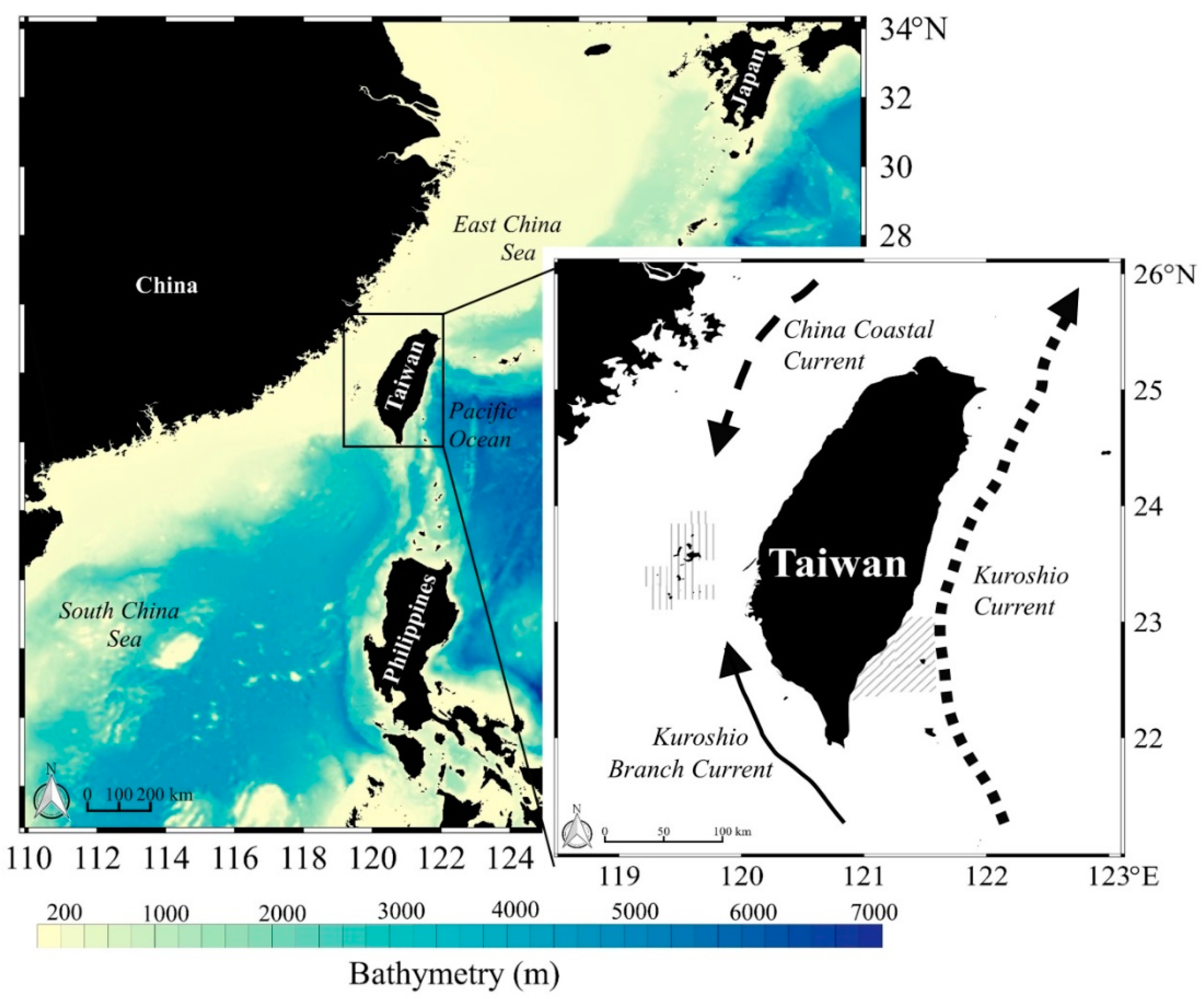 Molecules 27 01073 g001