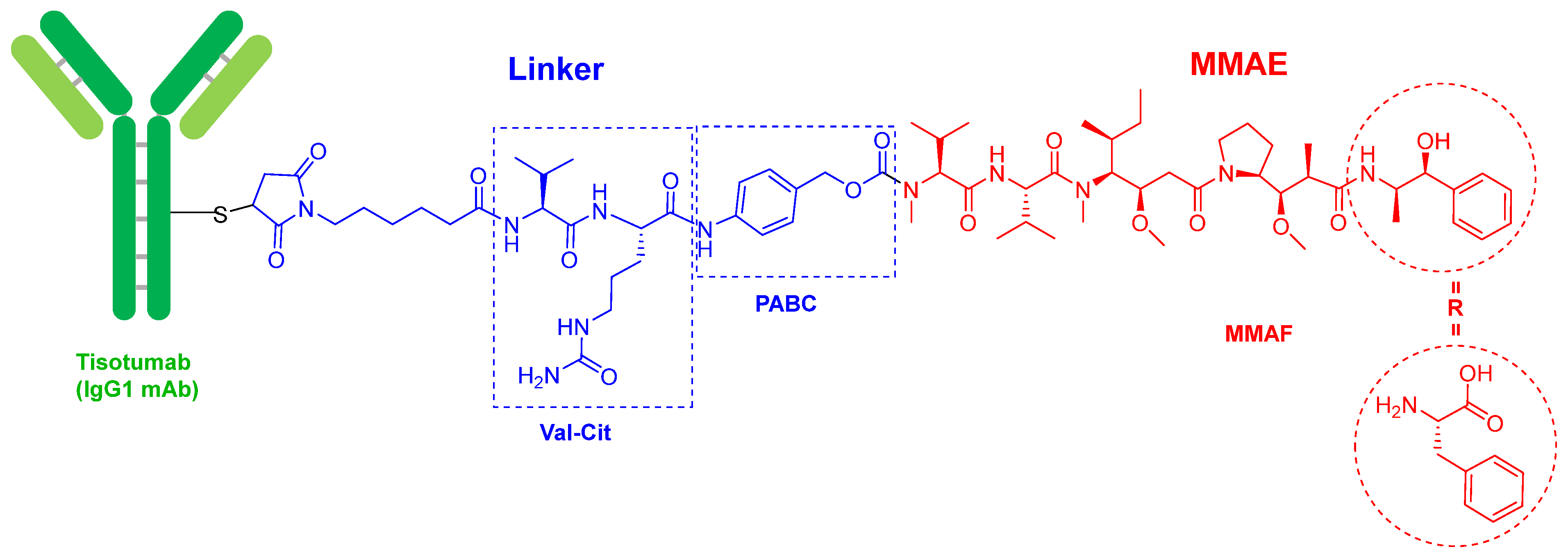 Molecules 27 01075 g002