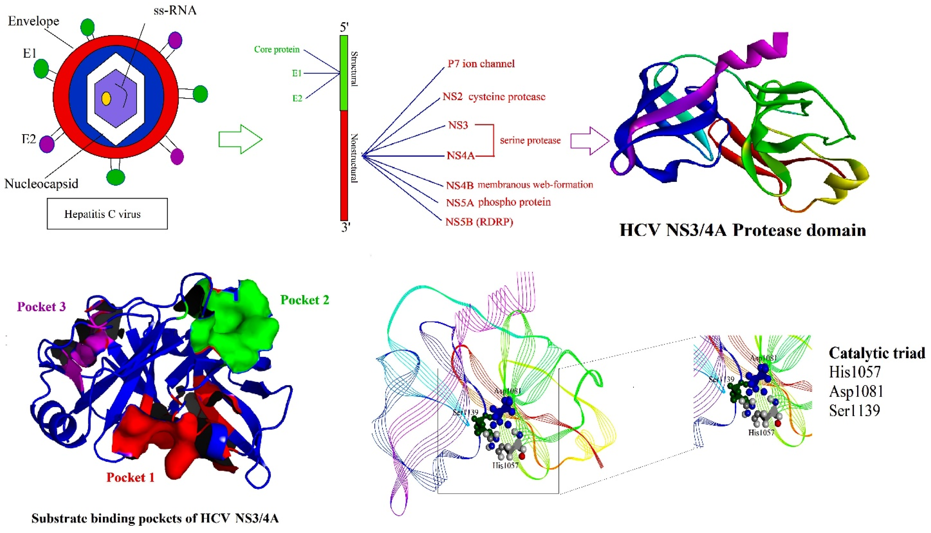 Molecules 27 01076 g001 Molecules 27 01076 g001
