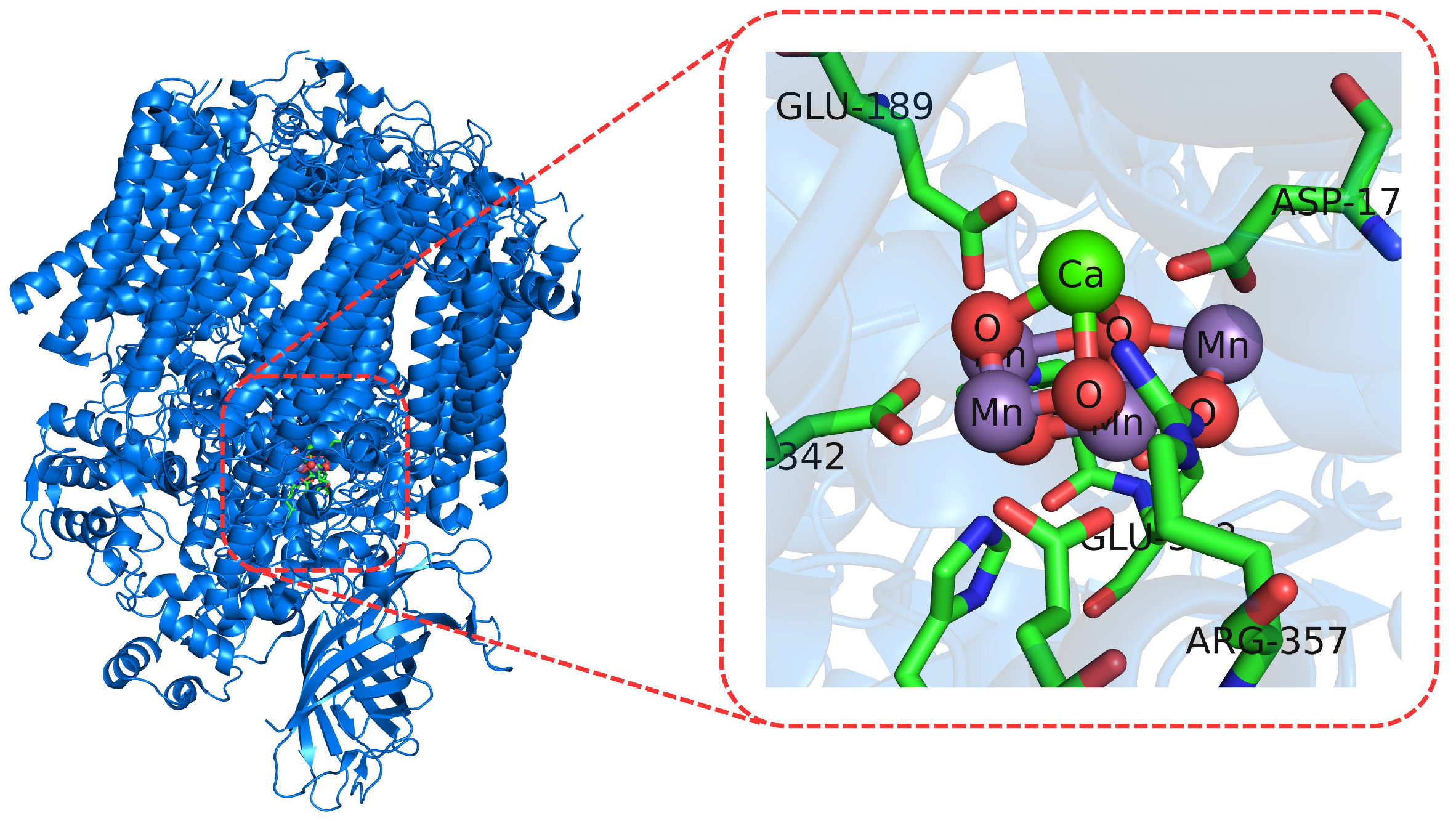 Molecules 27 01077 g006