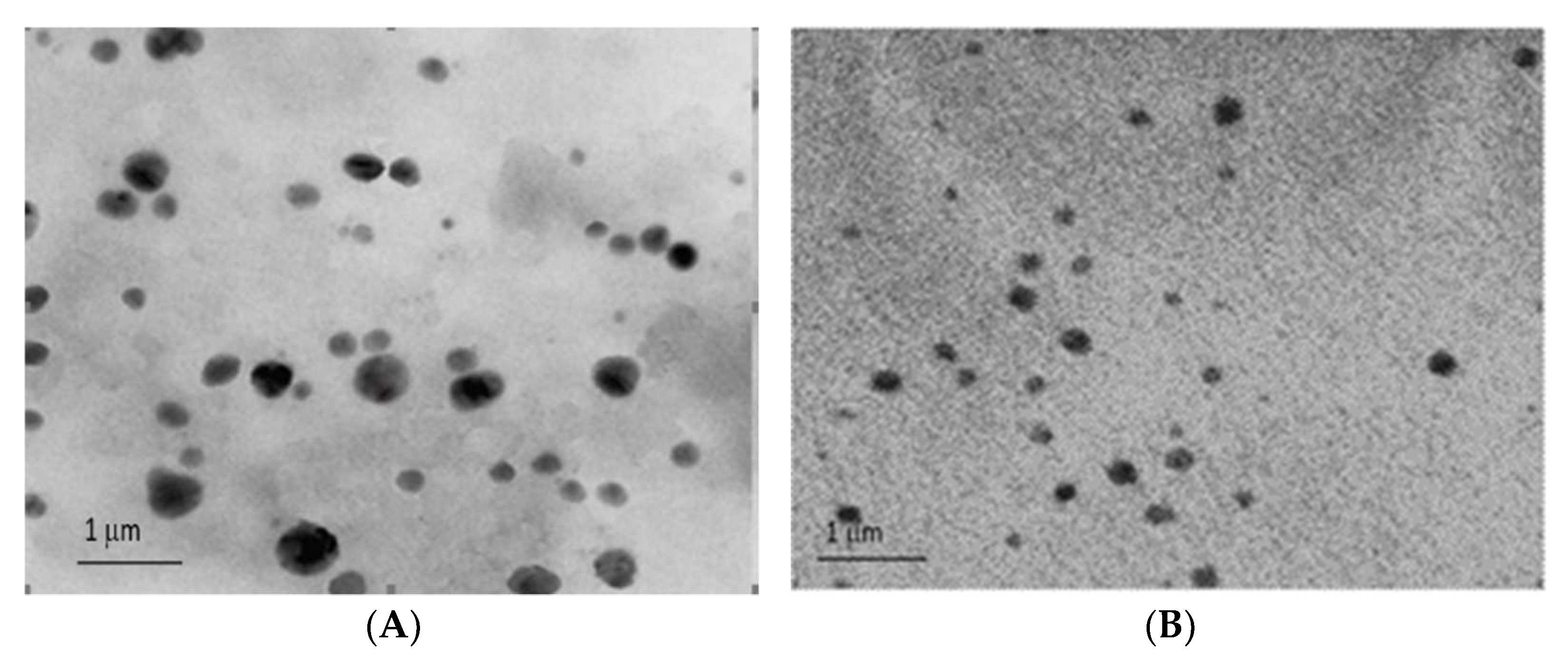 Molecules 27 01086 g004