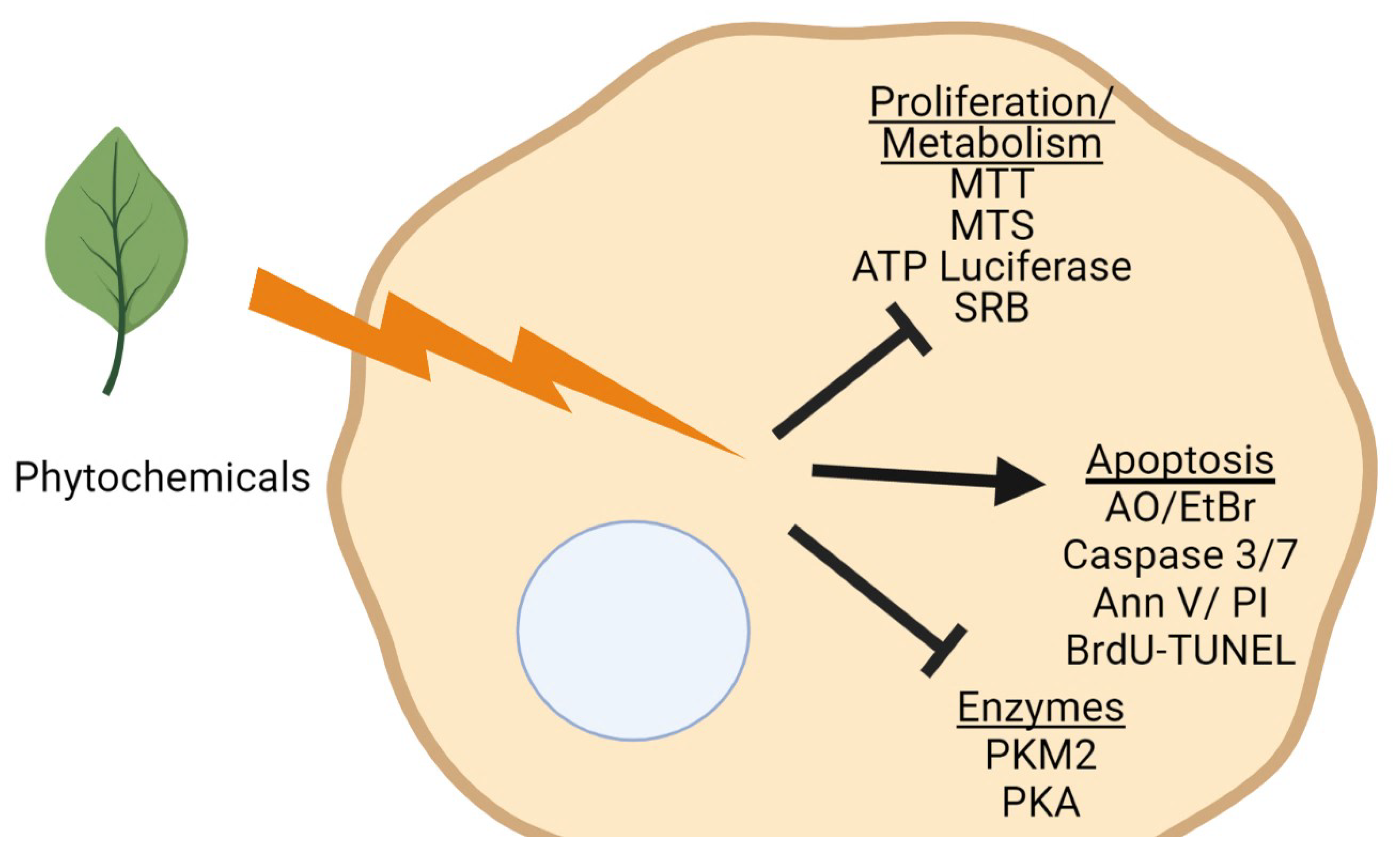 Molecules 27 01087 g001