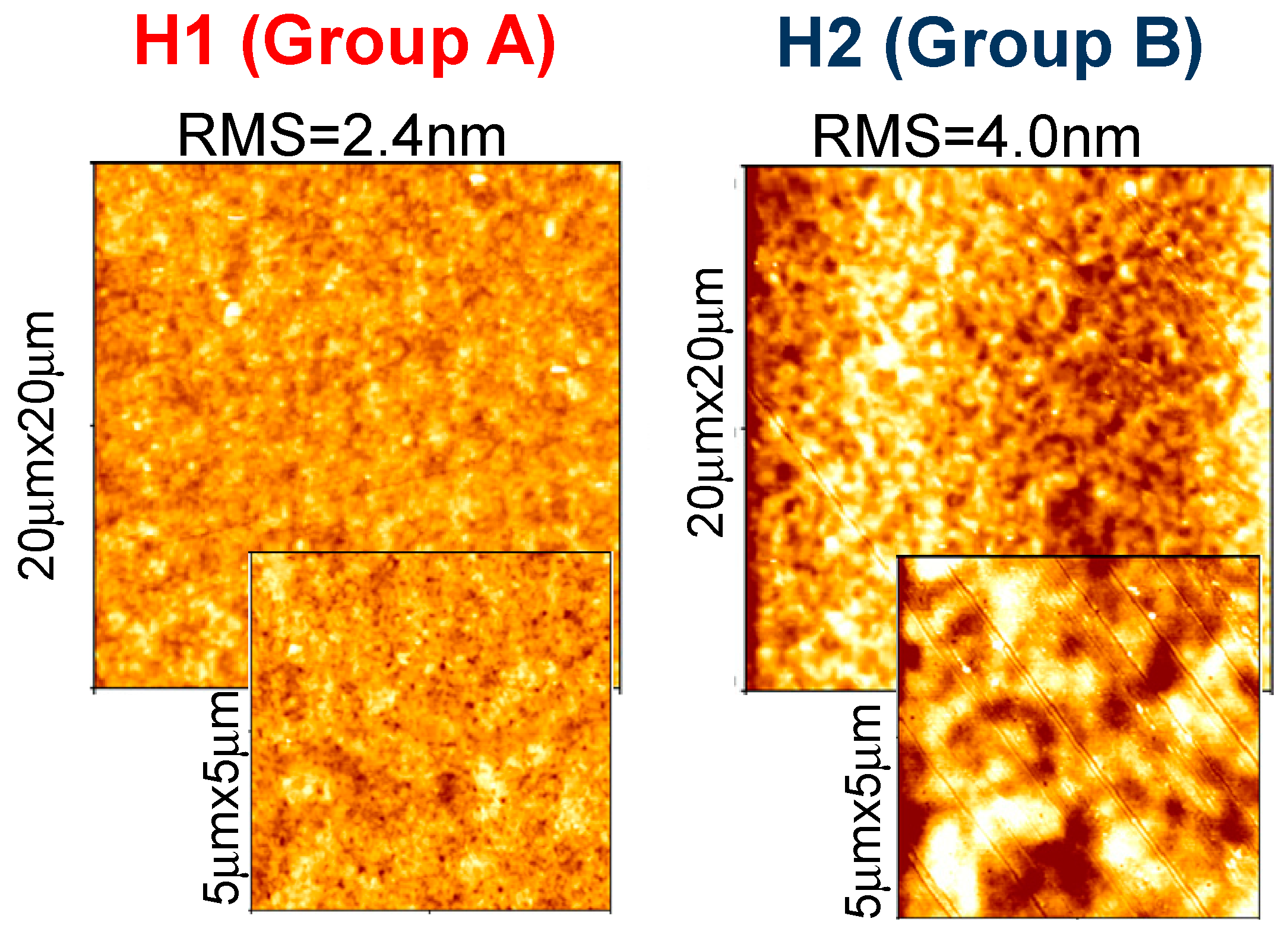 Molecules 27 01091 g009