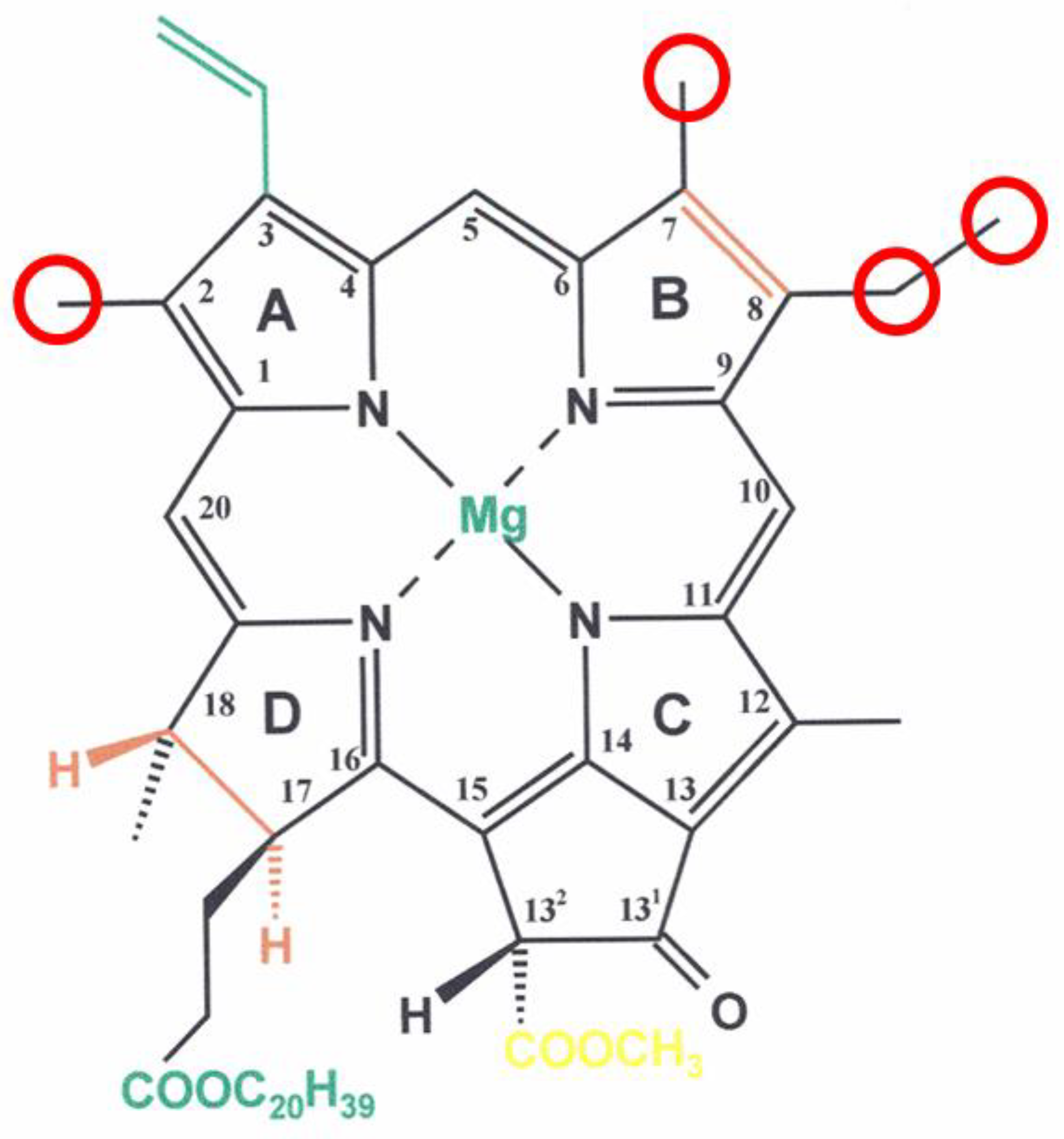 Molecules 27 01093 g001