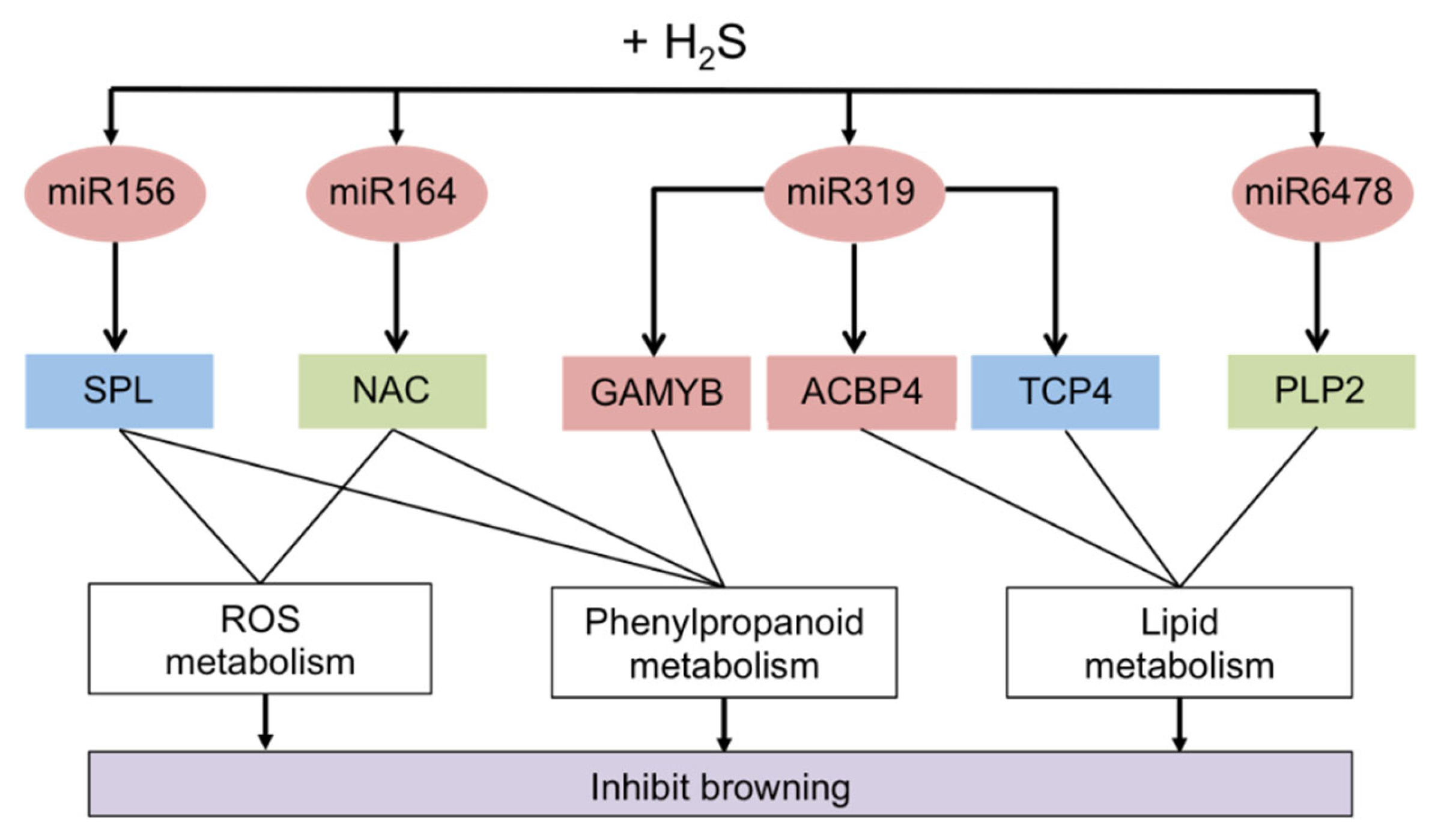 Molecules 27 01101 g006 Molecules 27 01101 g006