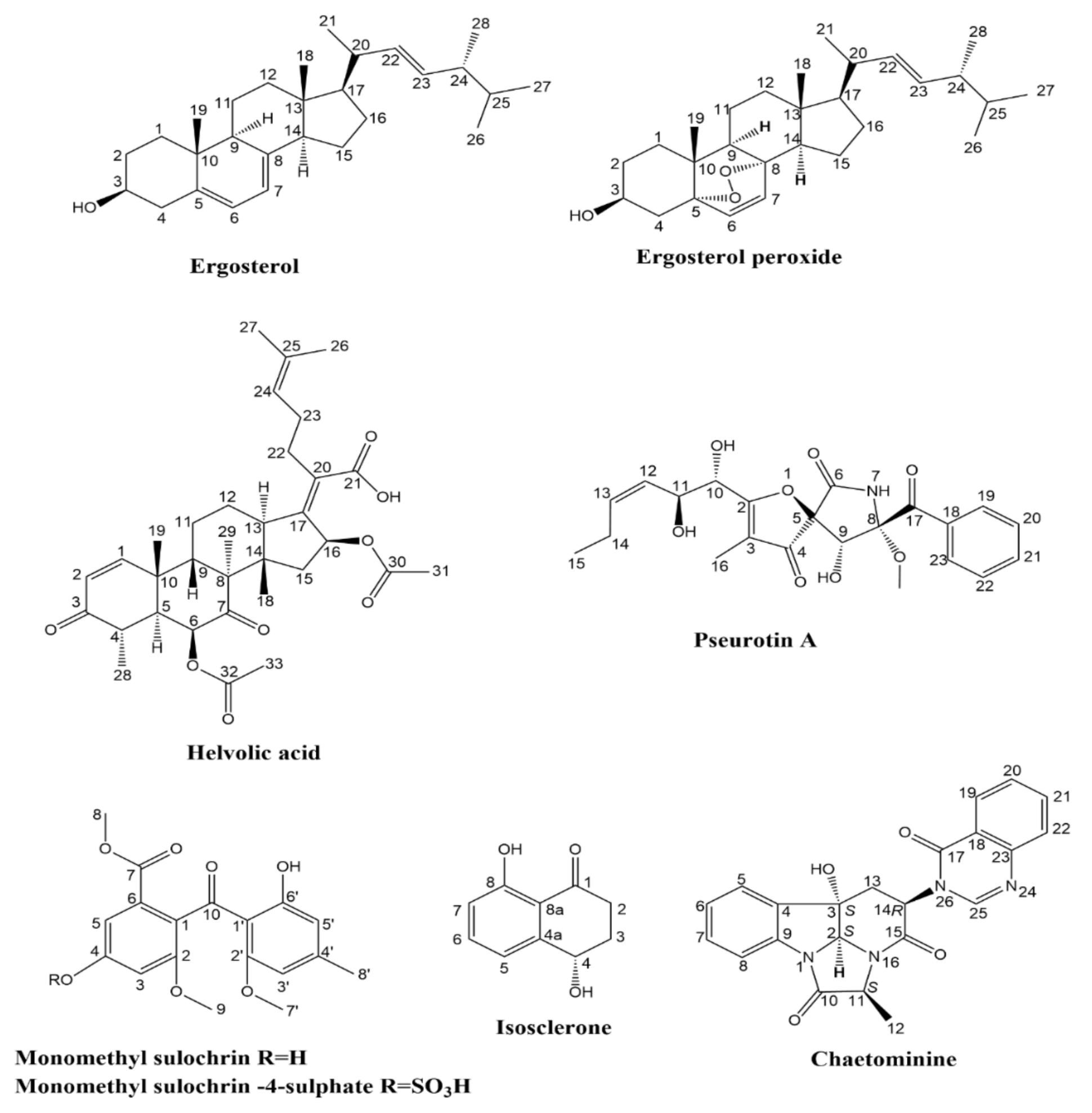 Molecules 27 01117 g001 Molecules 27 01117 g001
