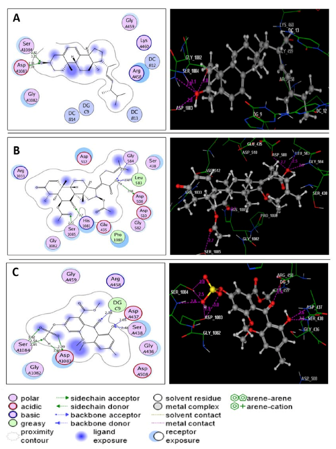Molecules 27 01117 g004 Molecules 27 01117 g004