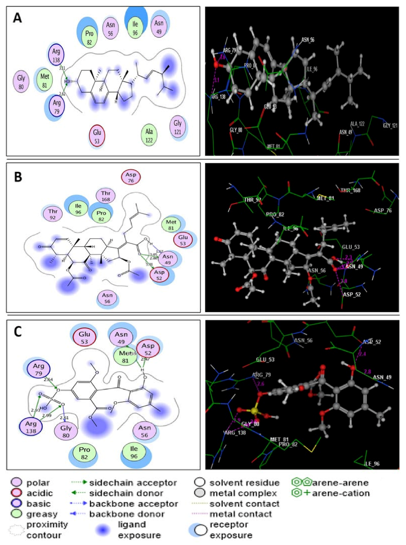 Molecules 27 01117 g005 Molecules 27 01117 g005