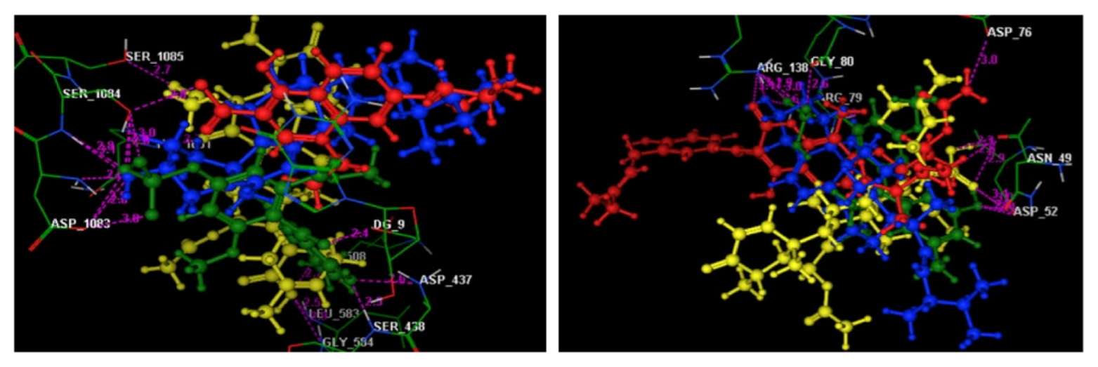 Molecules 27 01117 g006 Molecules 27 01117 g006