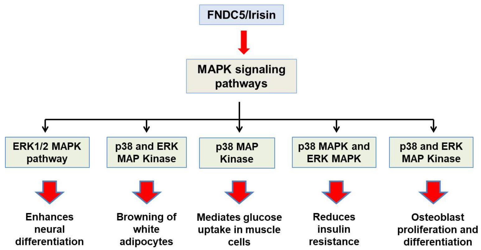 Molecules 27 01118 g002