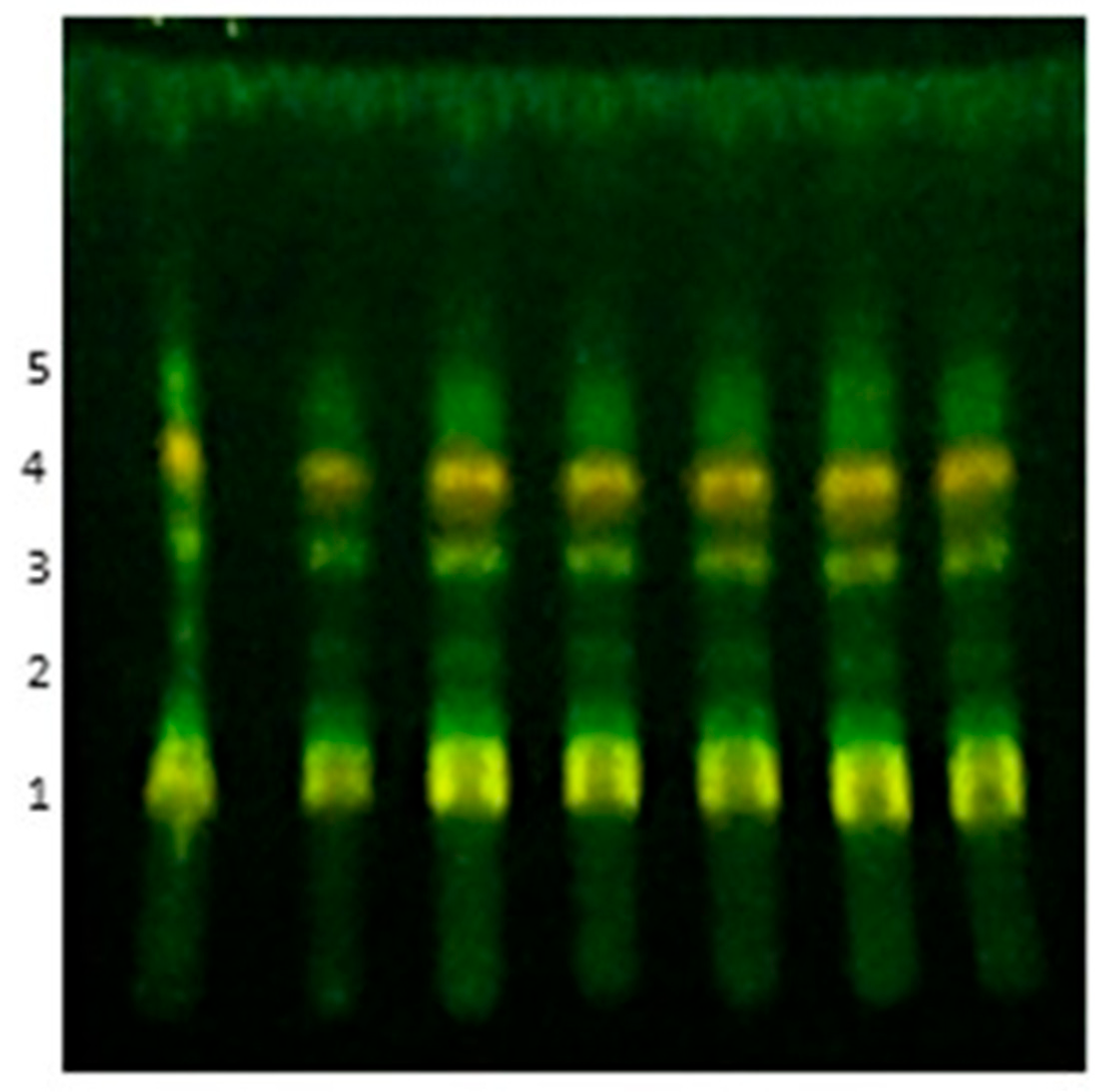 Molecules 27 01120 g001