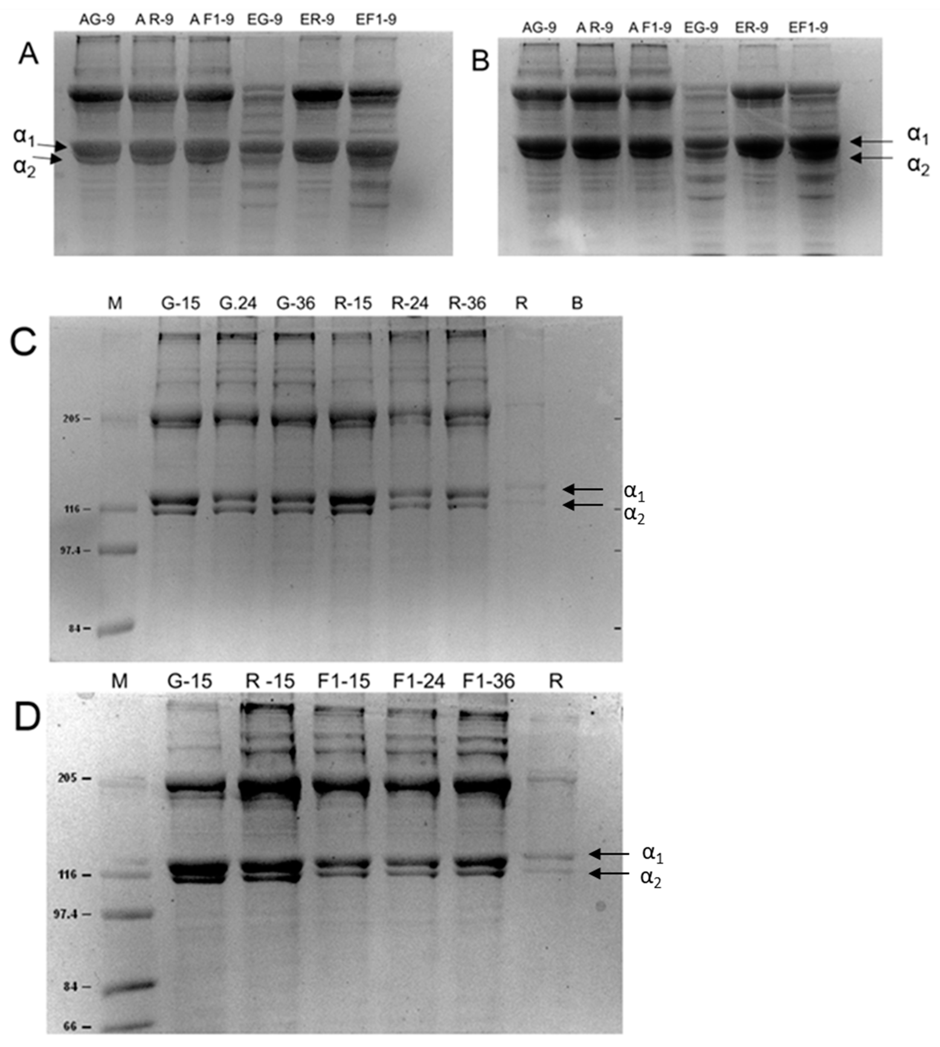 Molecules 27 01123 g002