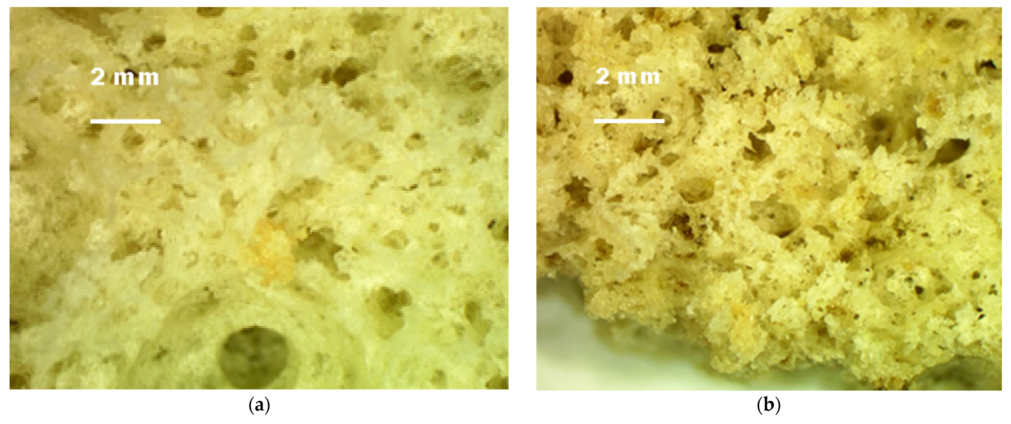 Molecules 27 01124 g006a