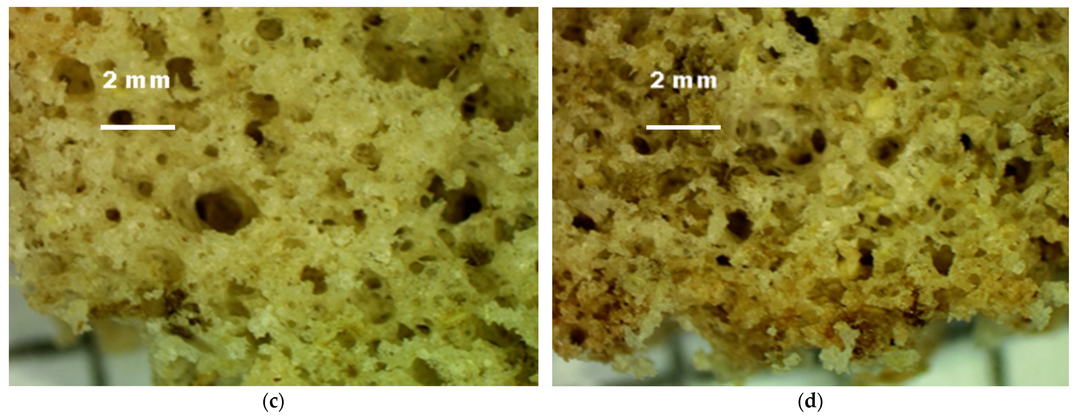 Molecules 27 01124 g006b