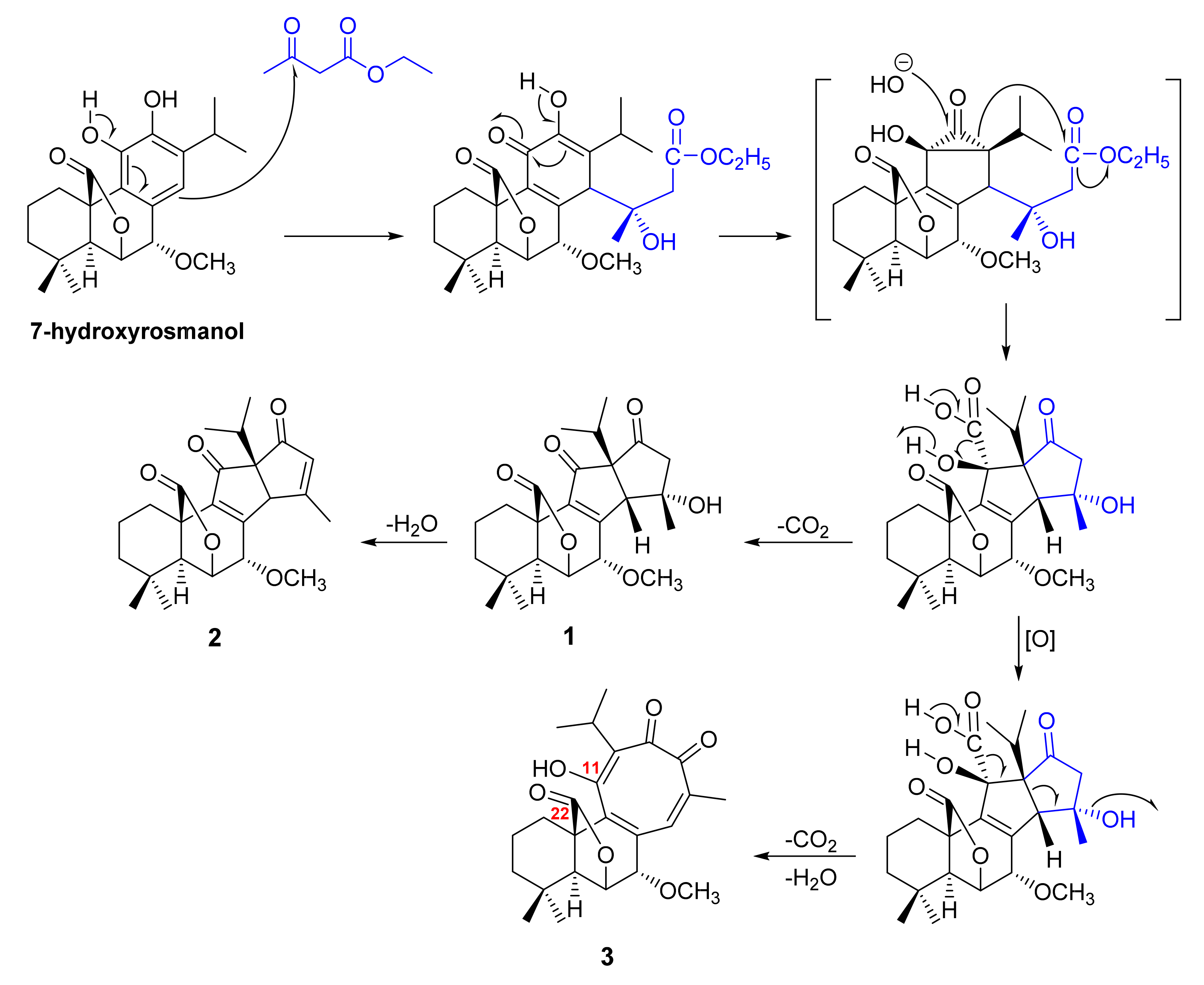 Molecules 27 01128 g001