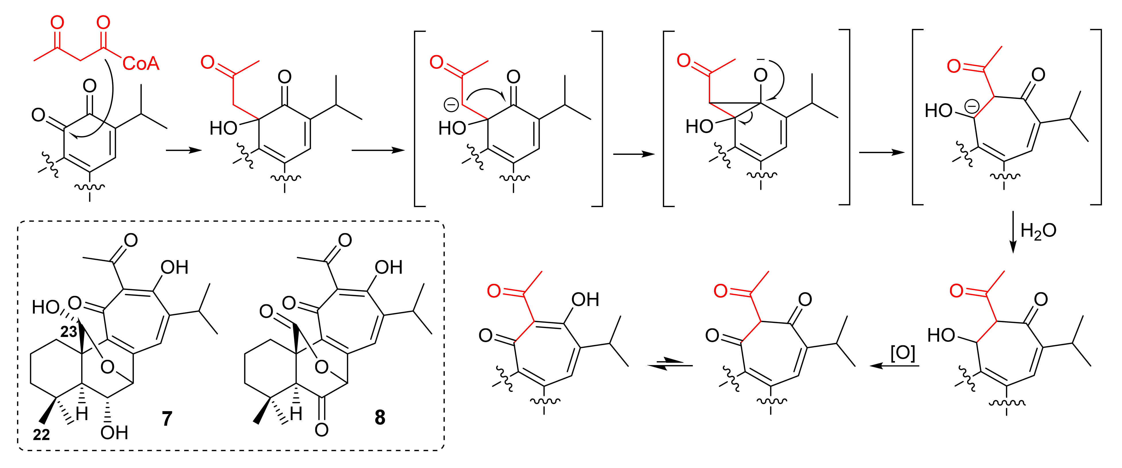 Molecules 27 01128 g003