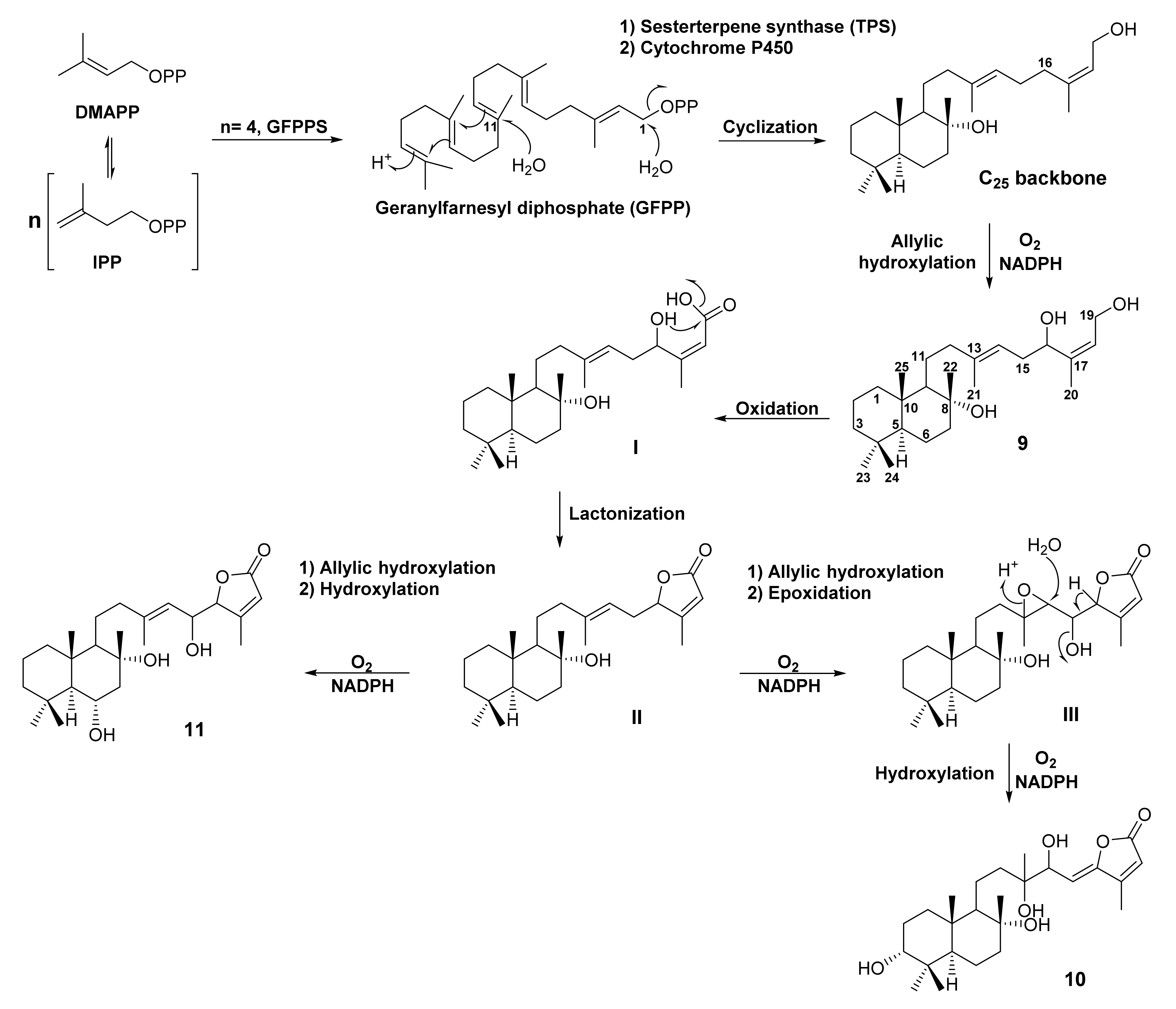 Molecules 27 01128 g005