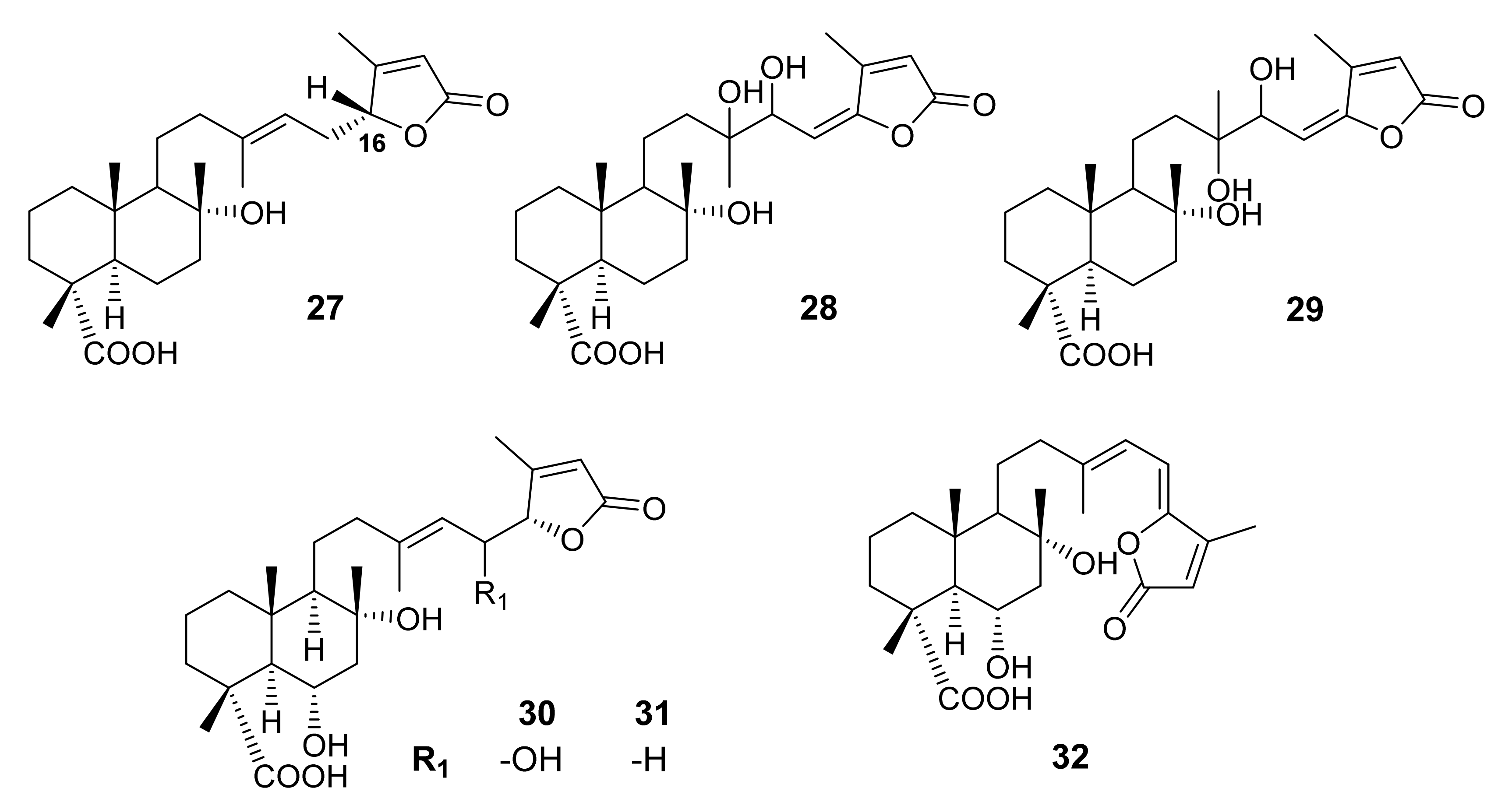 Molecules 27 01128 g008