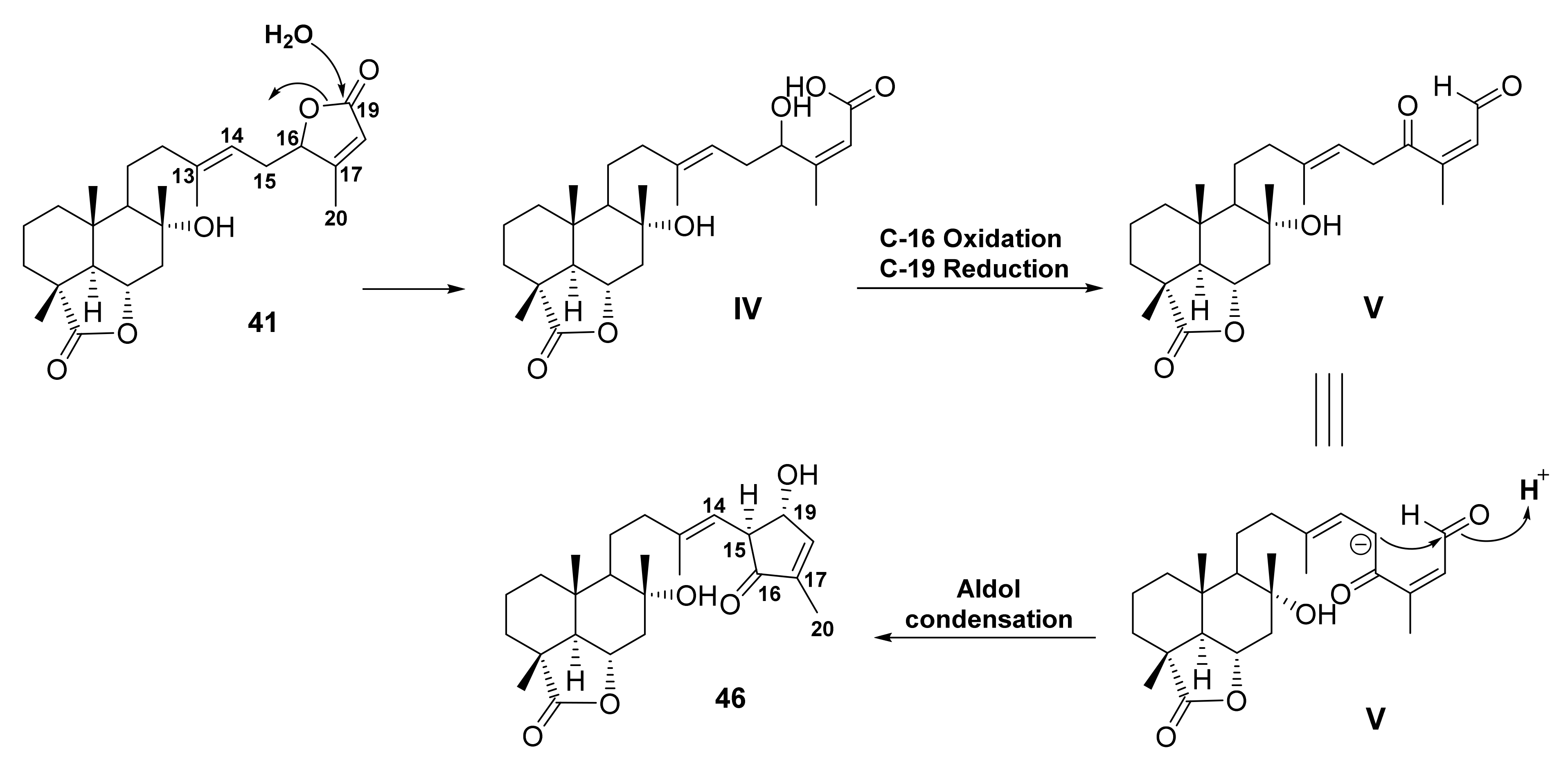 Molecules 27 01128 g011