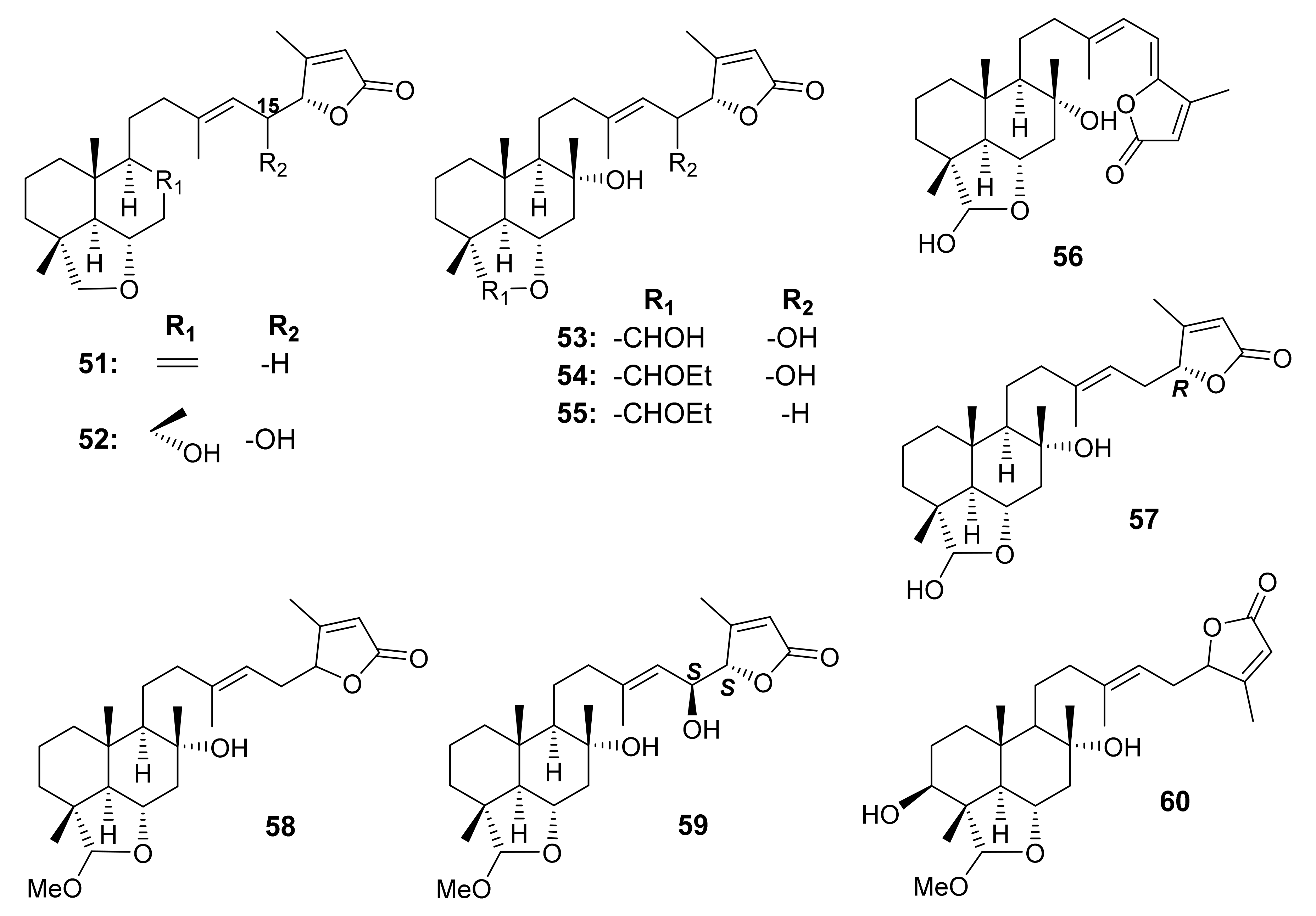 Molecules 27 01128 g012