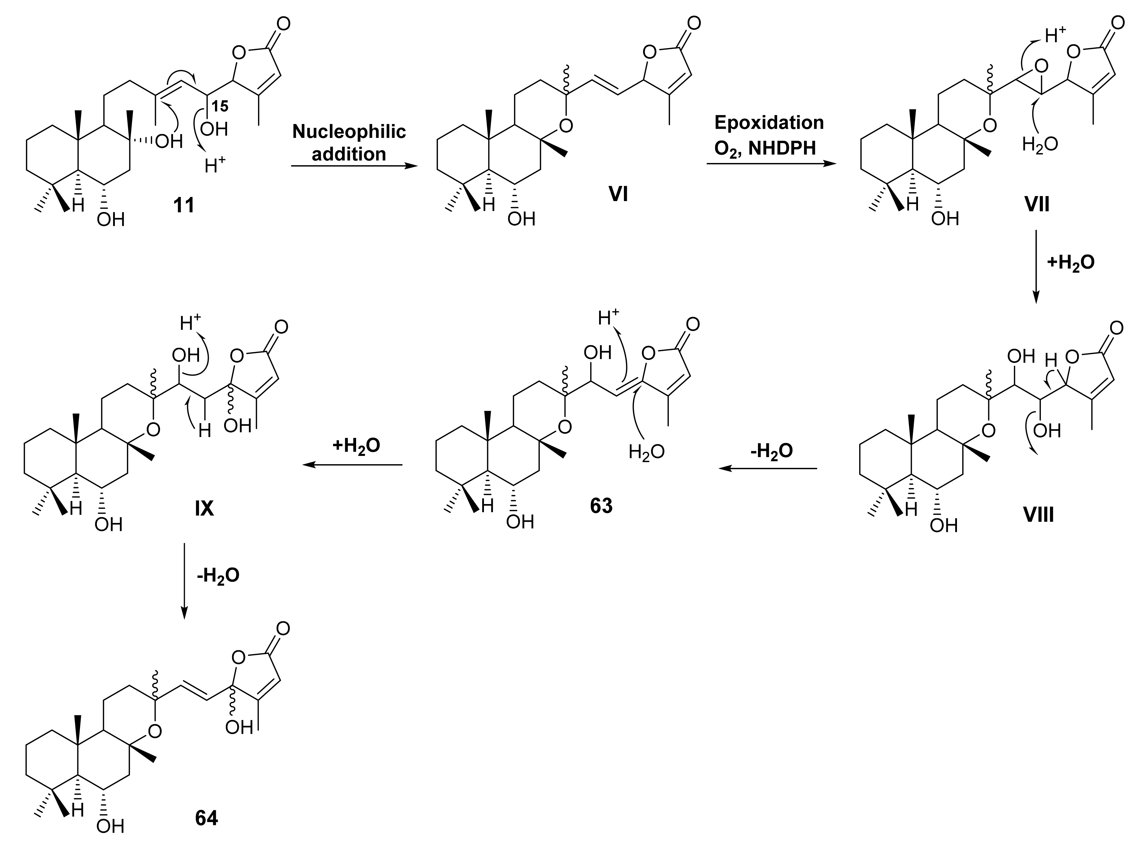 Molecules 27 01128 g013